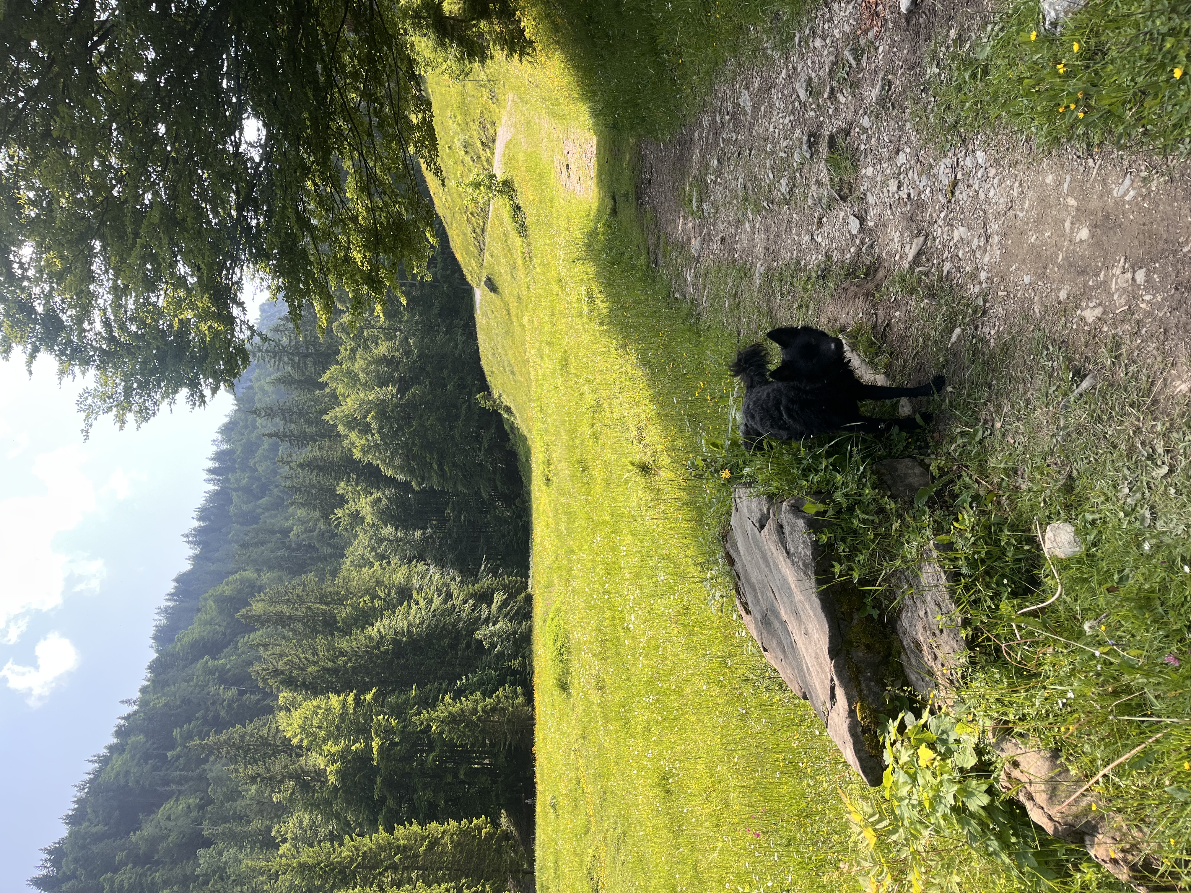 image-0