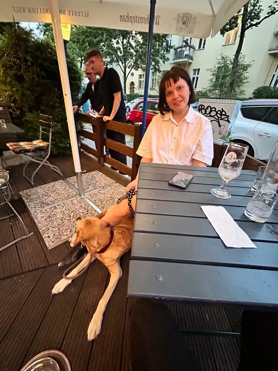 image-12