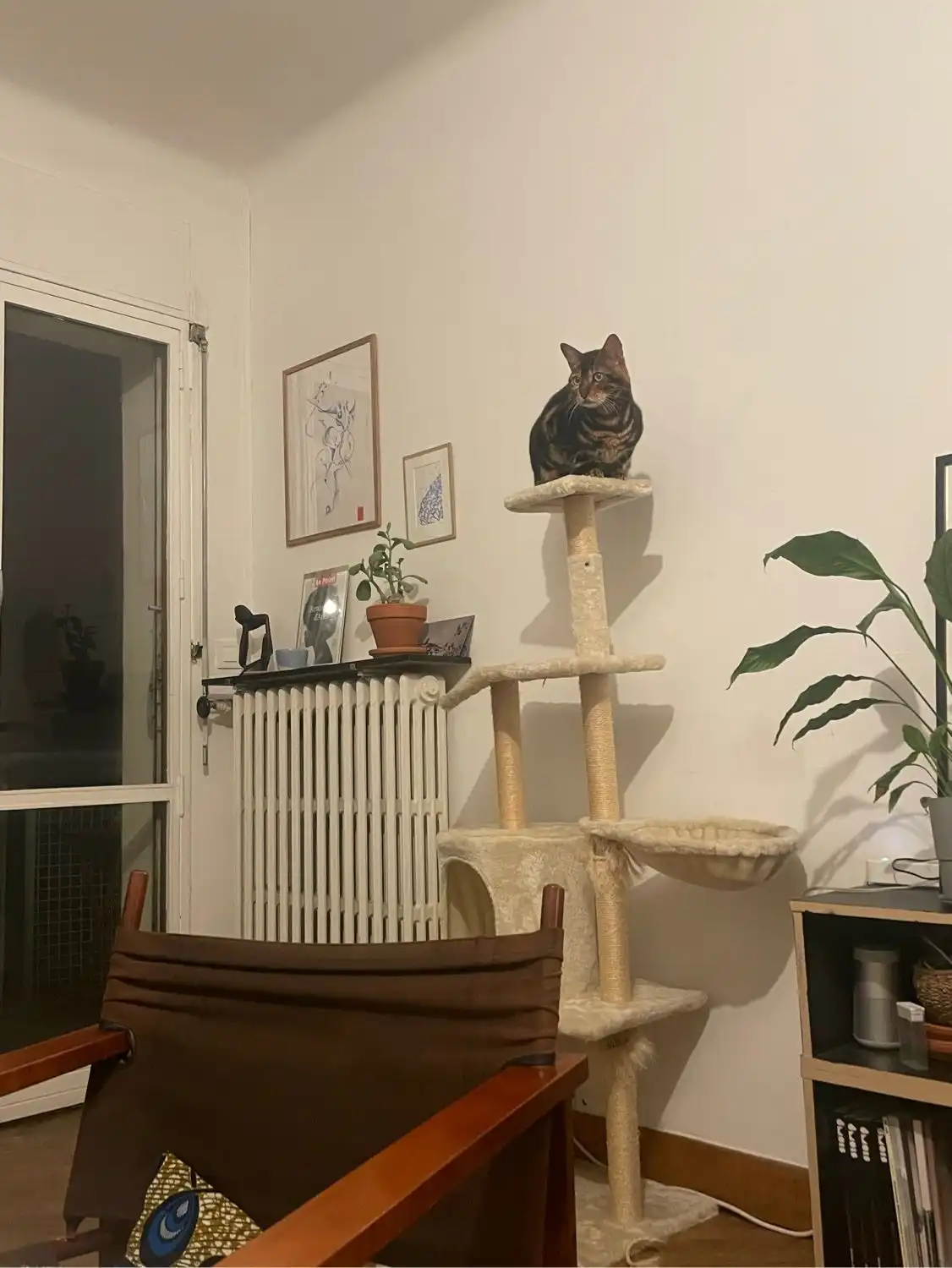 image-6