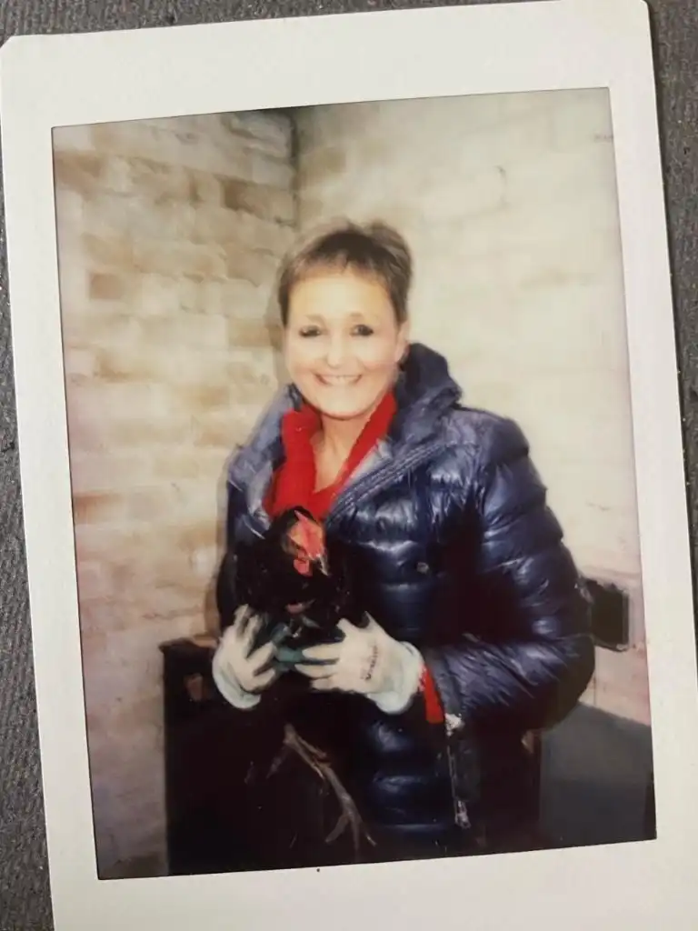 image-7