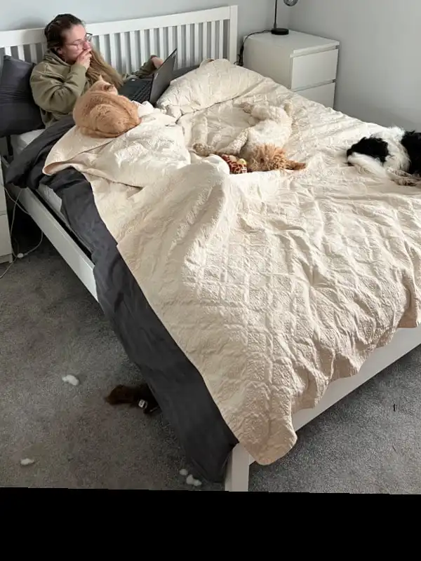 image-6