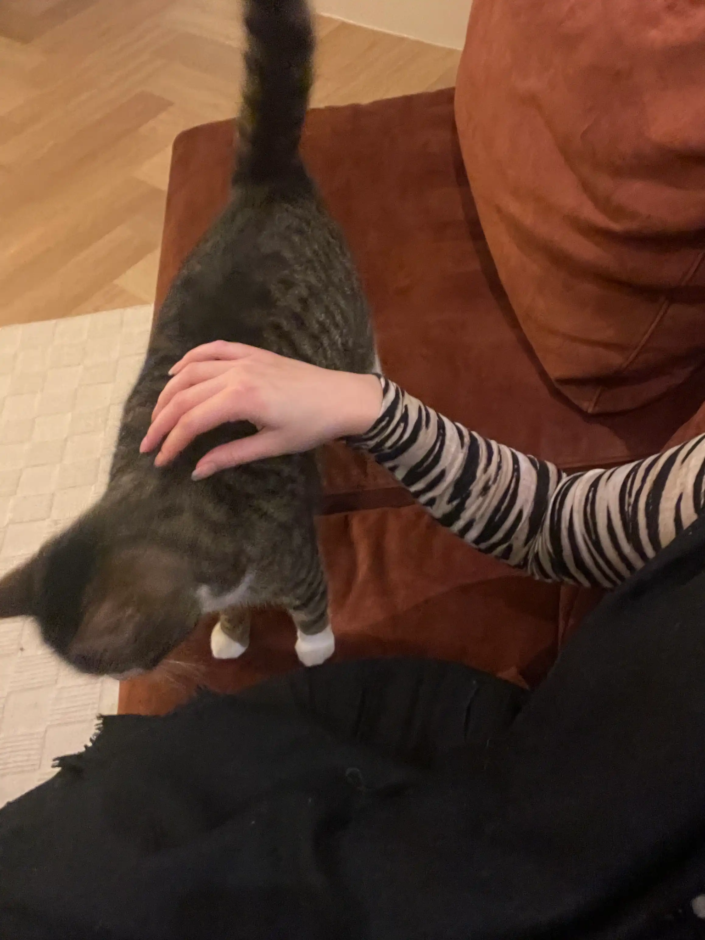 image-6