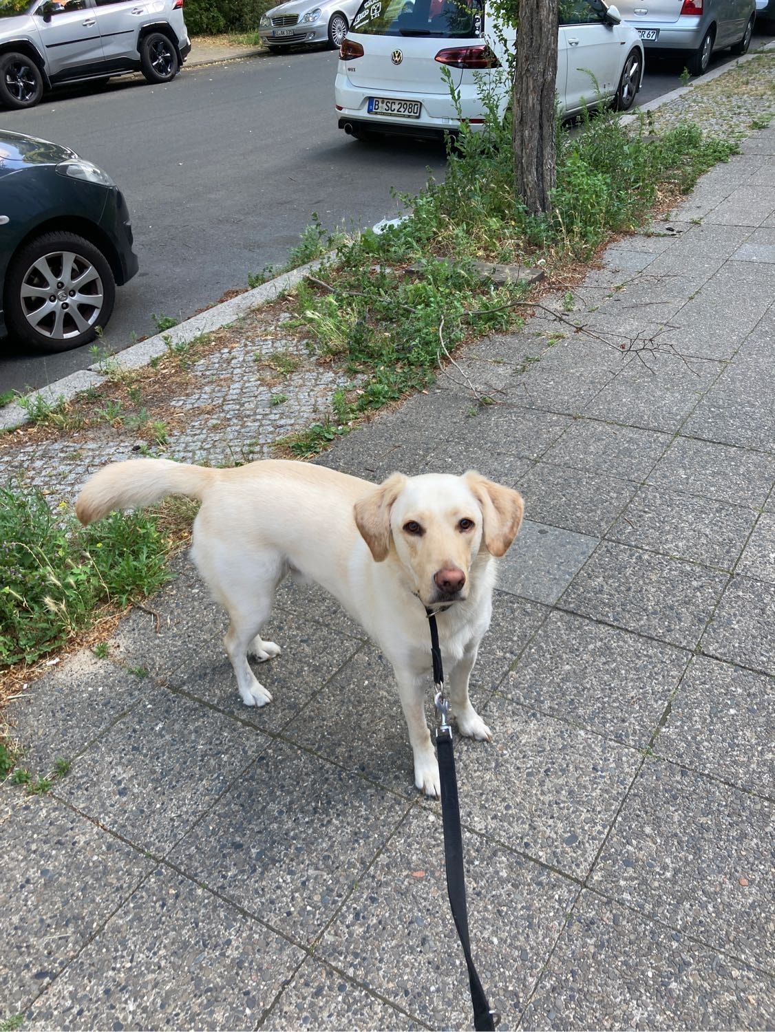 image-20