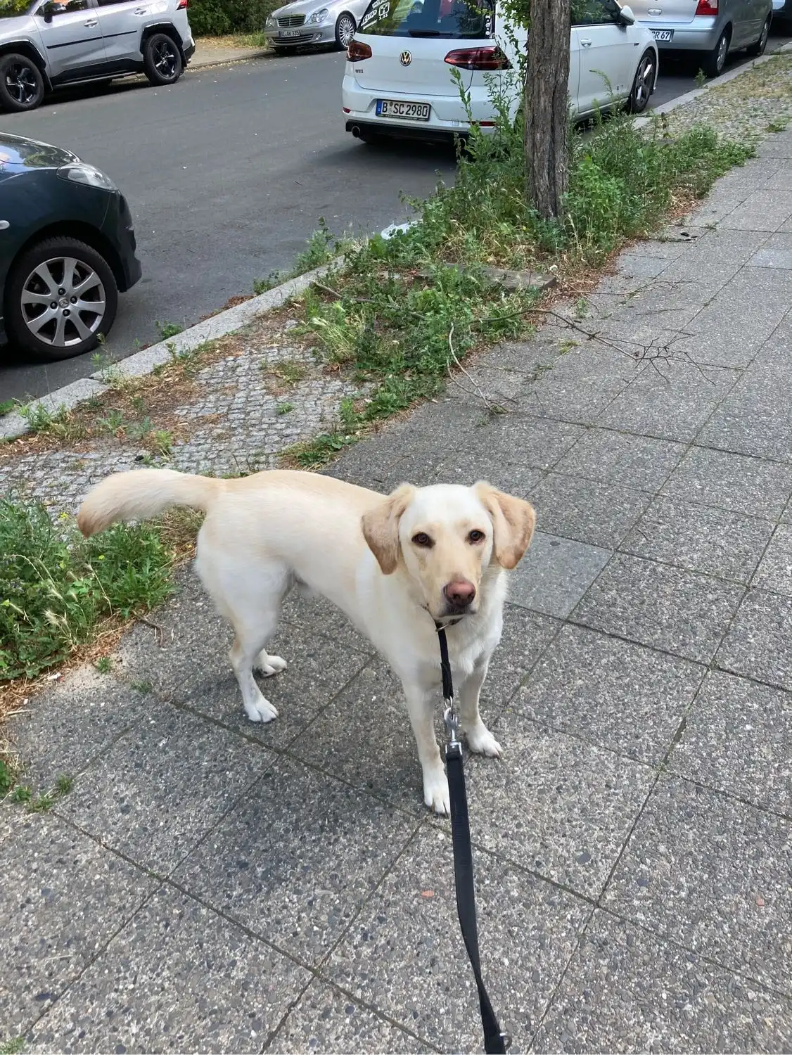 image-20