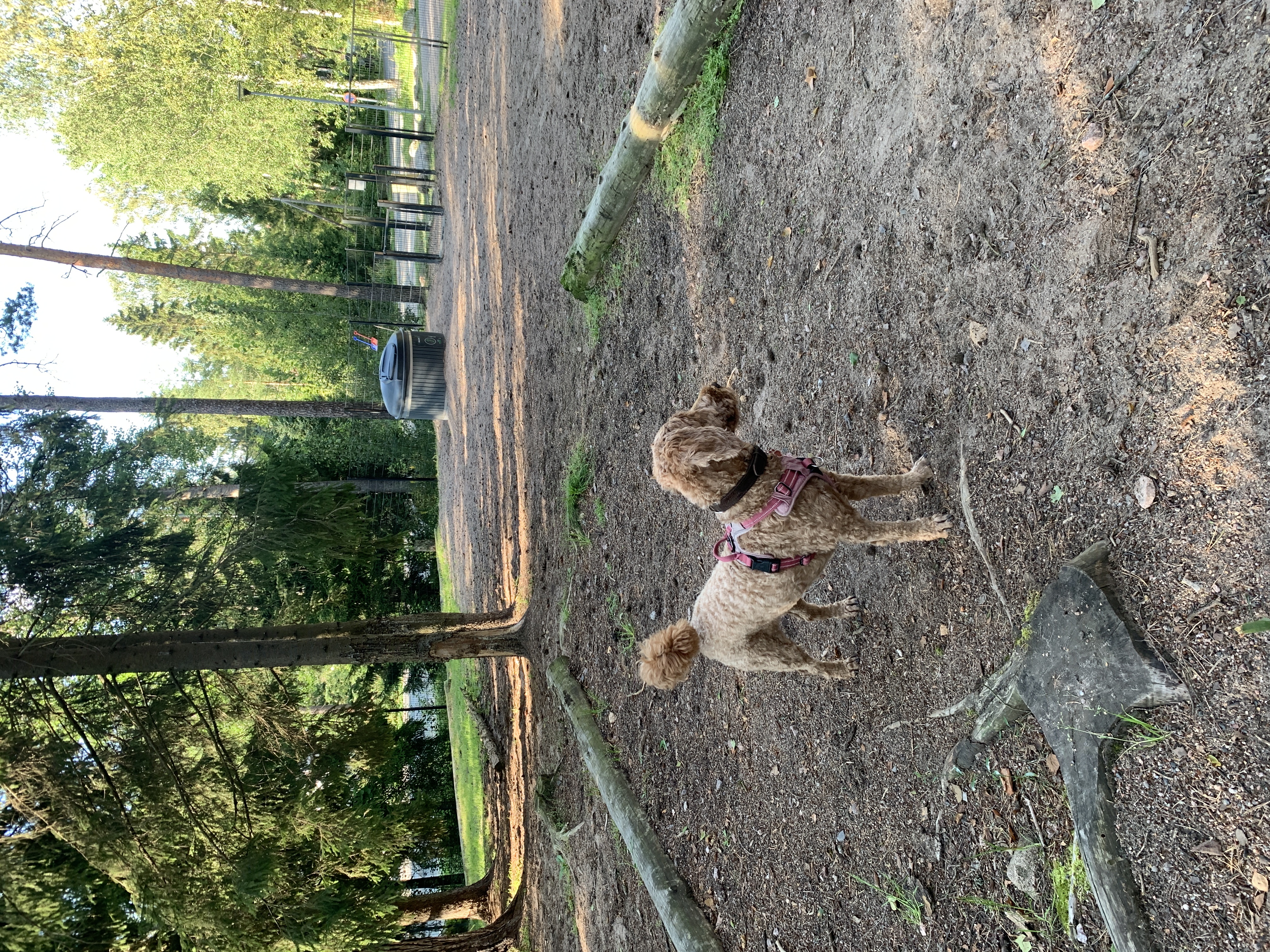 image-20