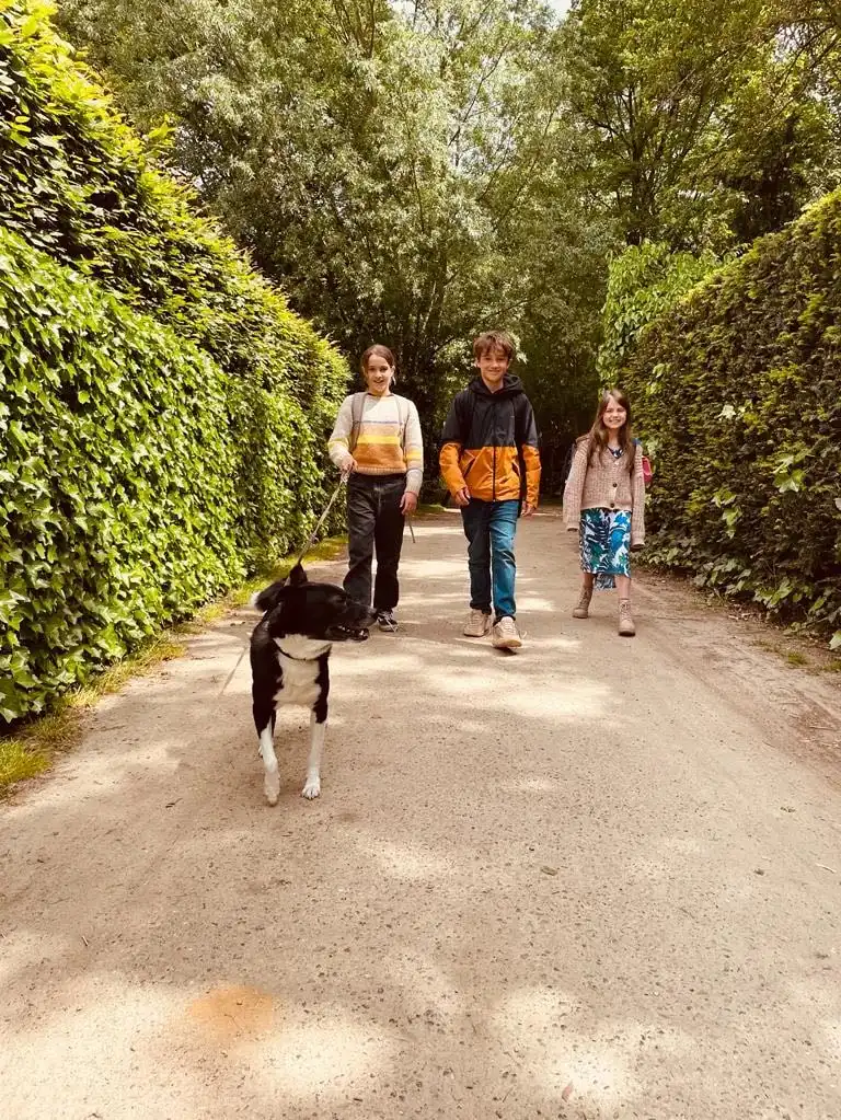 image-13