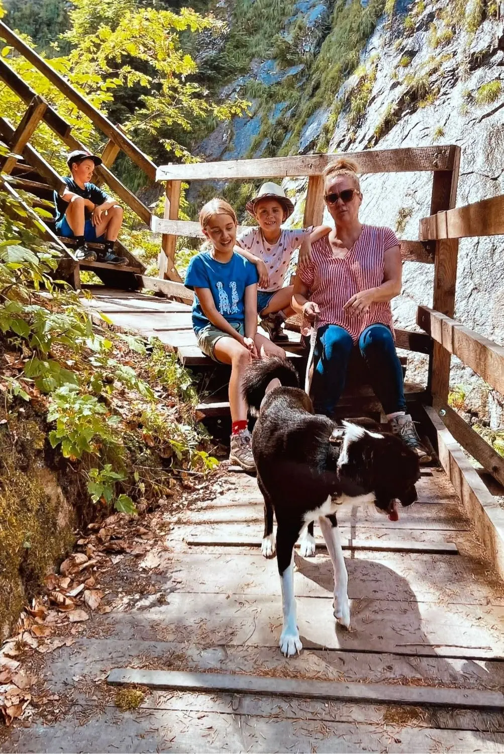 image-2