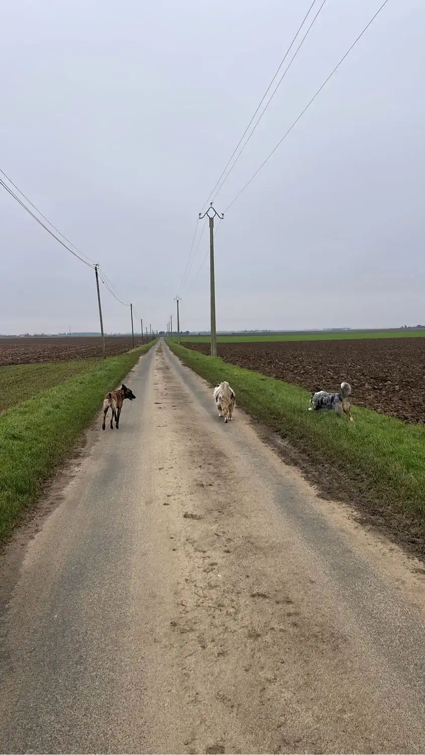 image-14