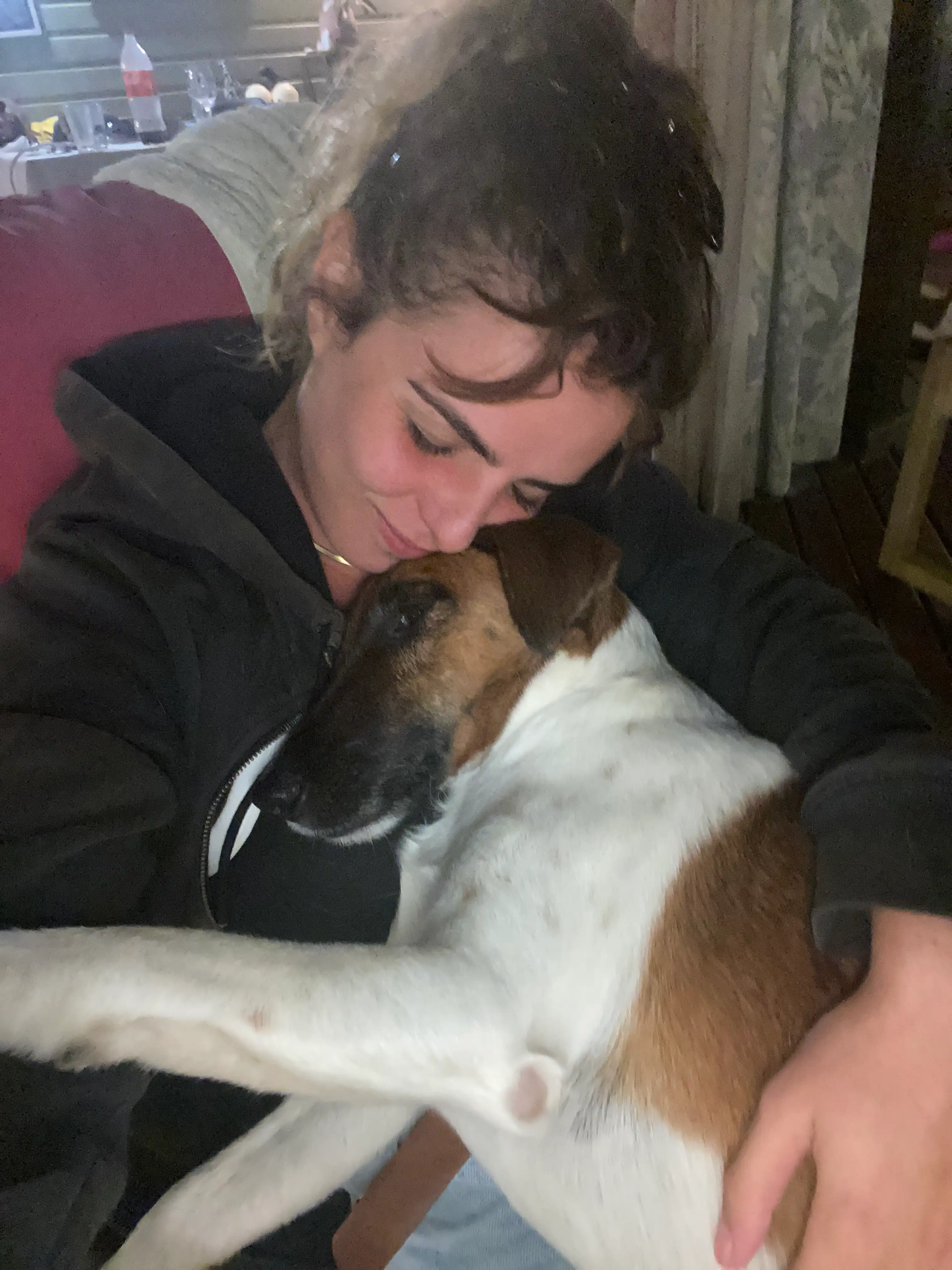 image-7