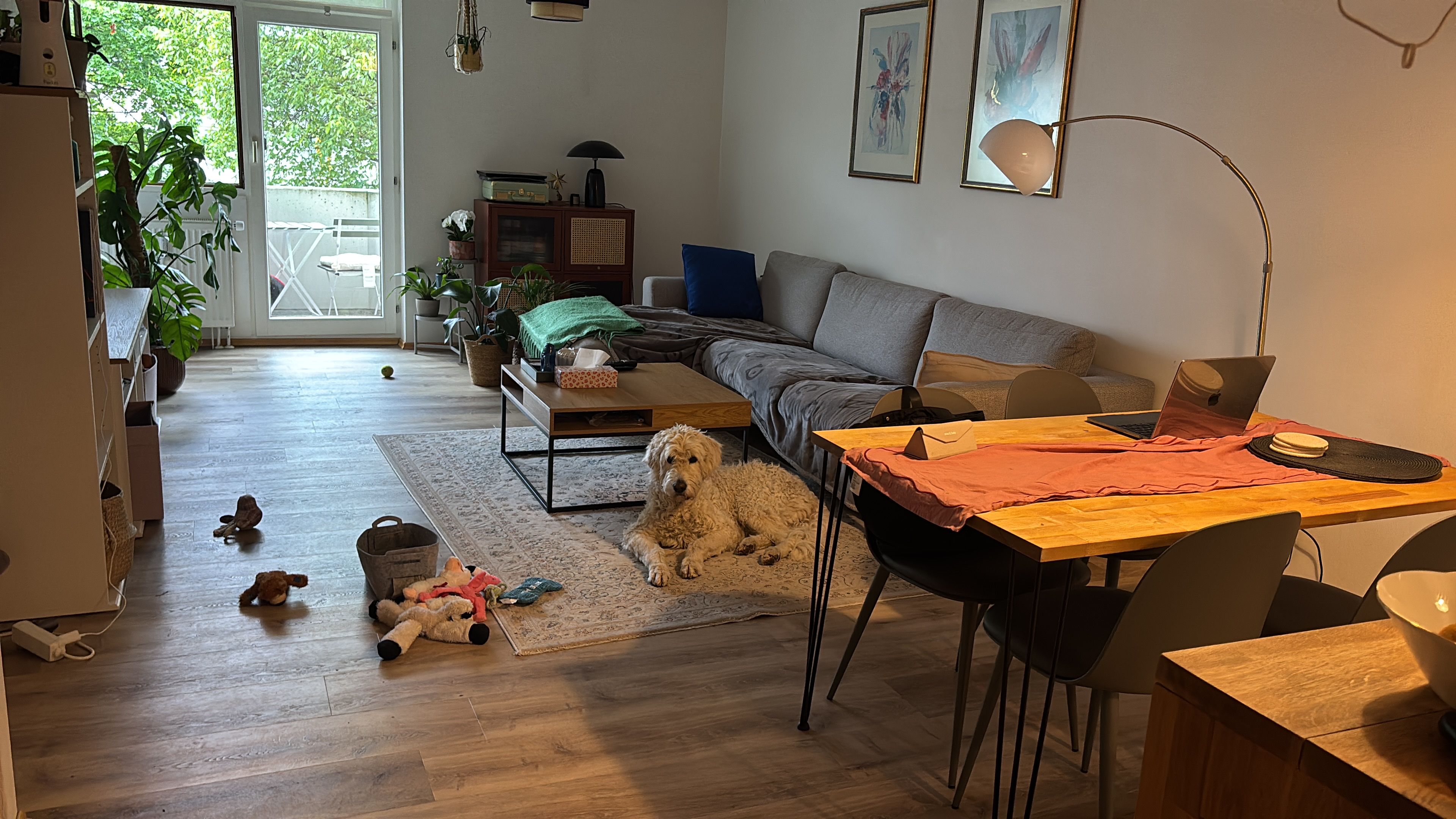 image-38