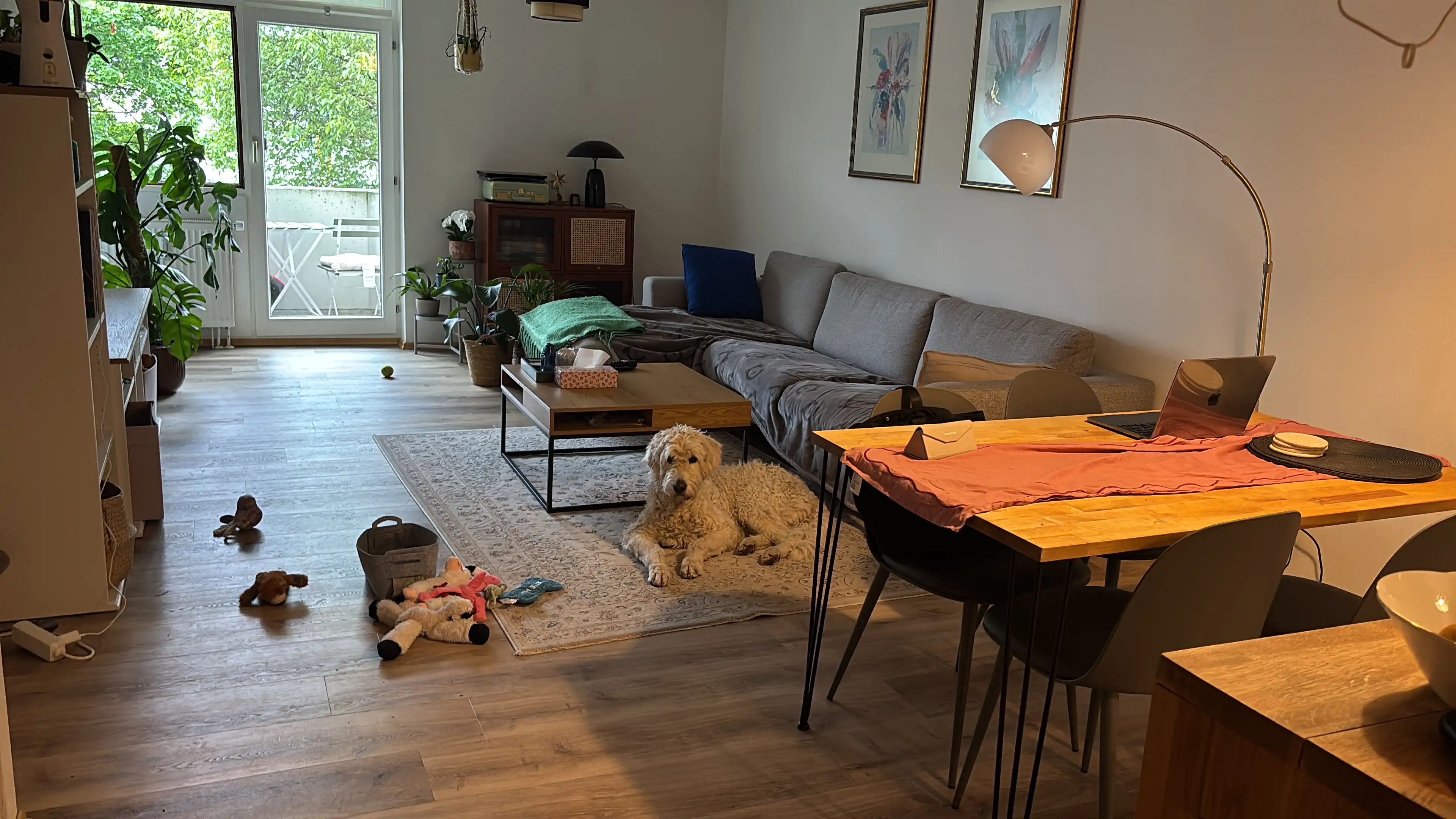 image-38