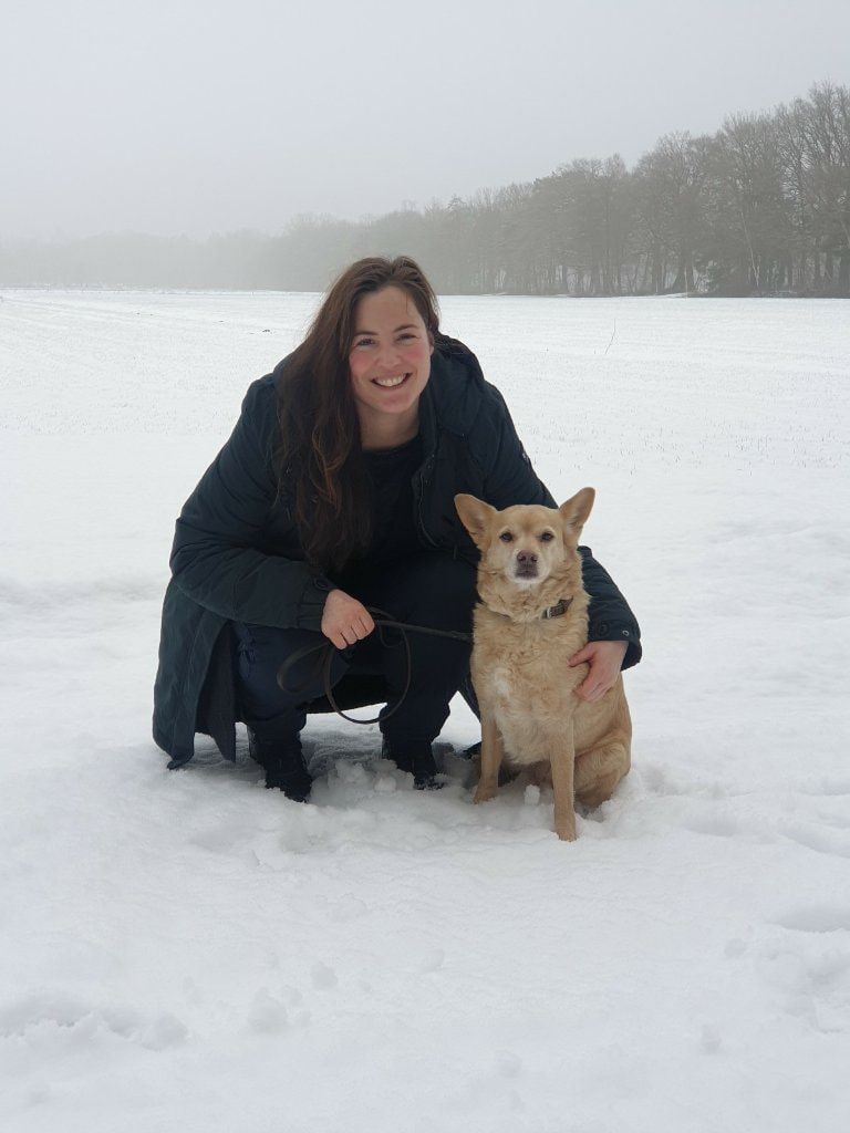 image-5