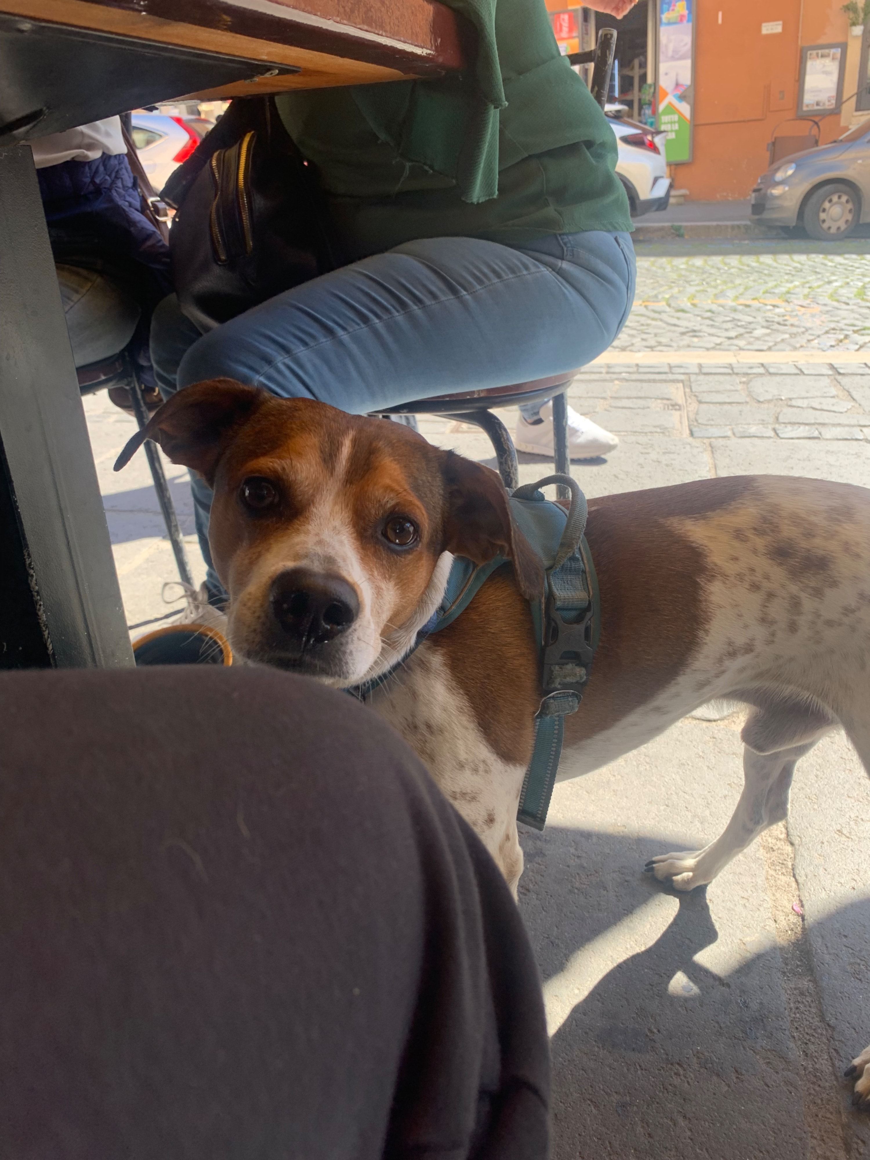 image-23