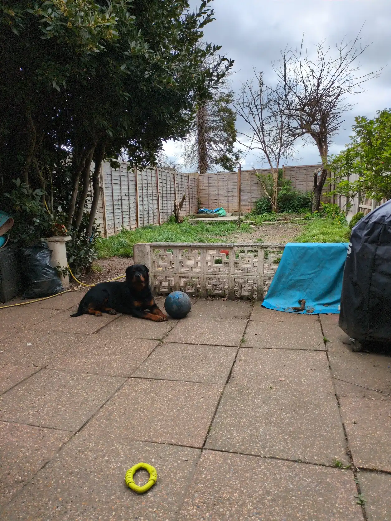 image-15