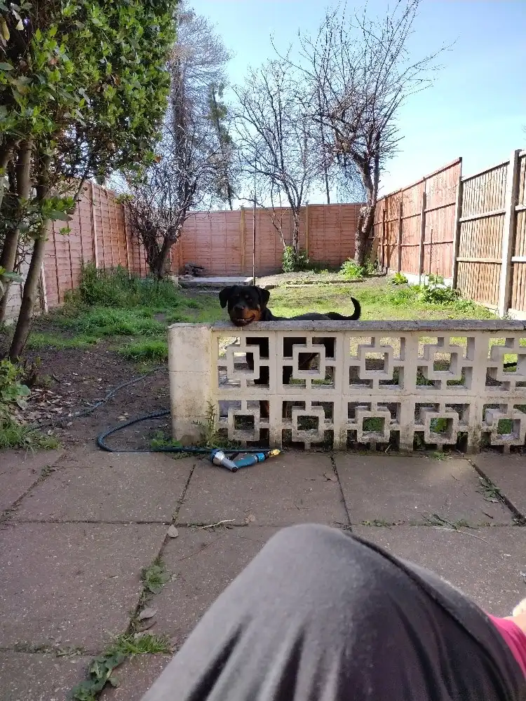 image-6