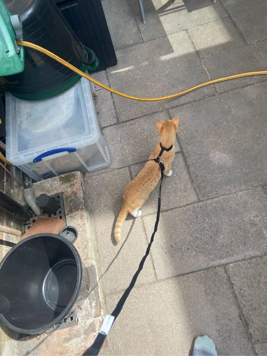 image-8