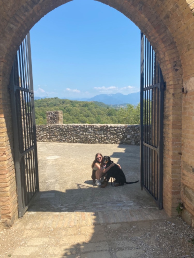 image-15