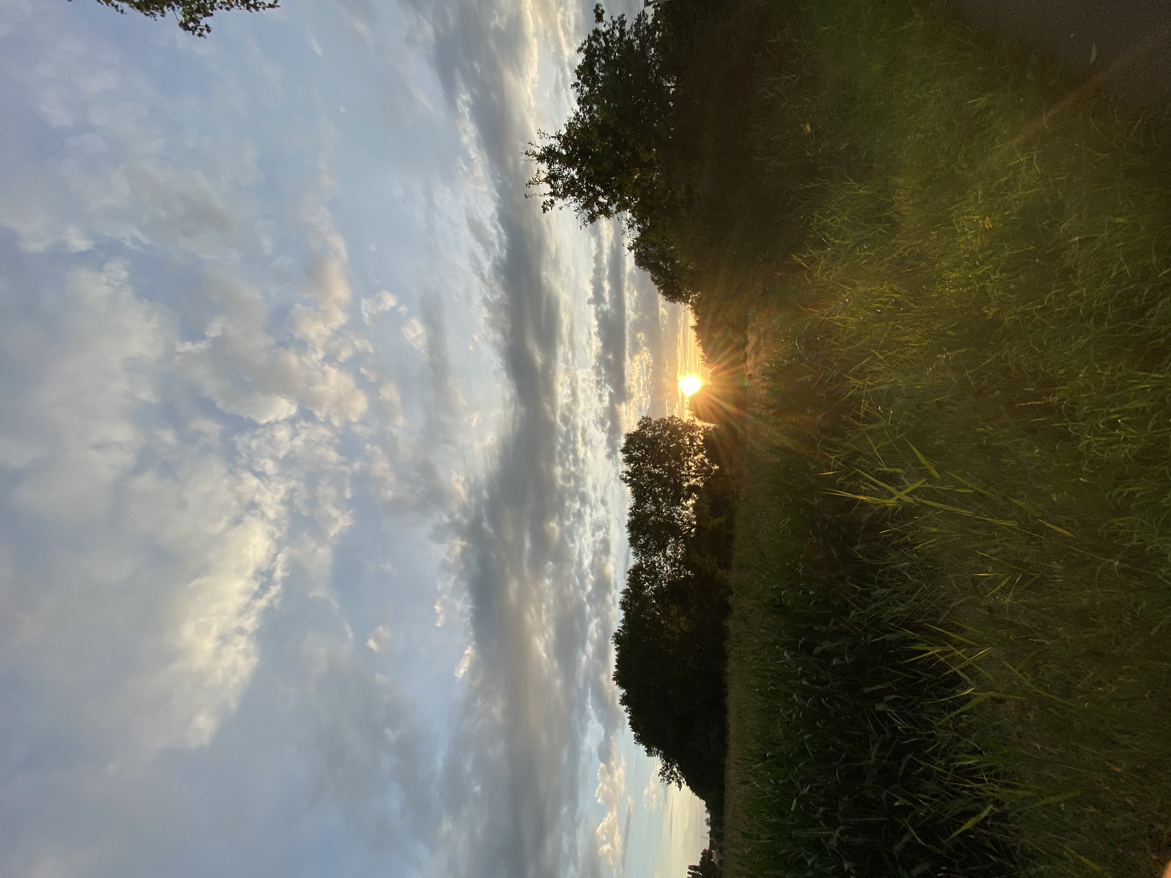 image-33