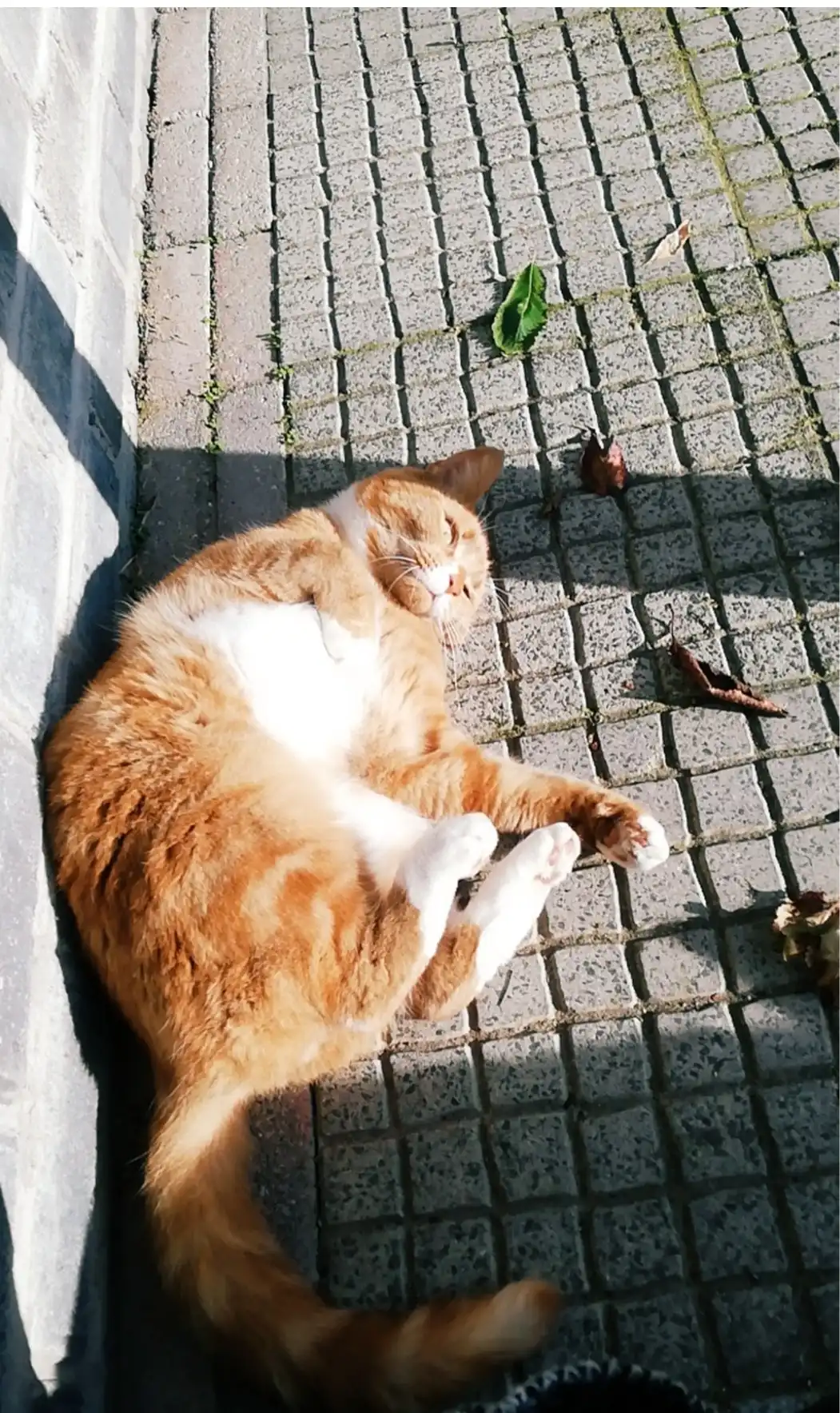 image-6