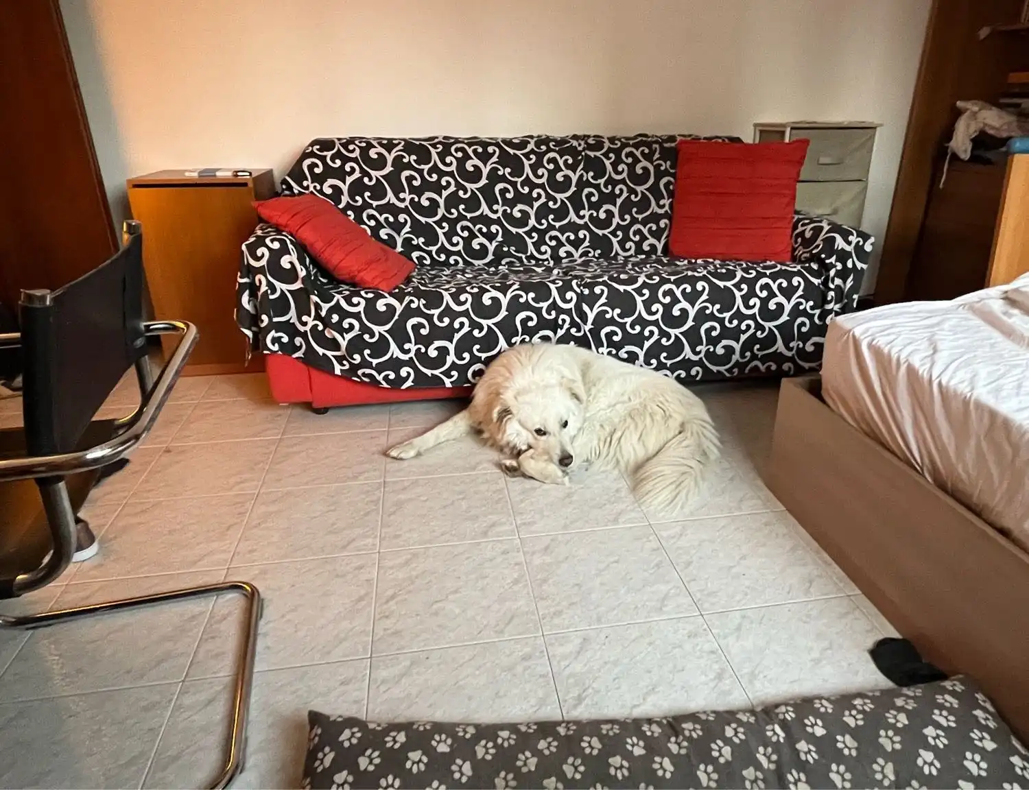 image-11