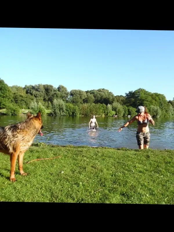 image-36