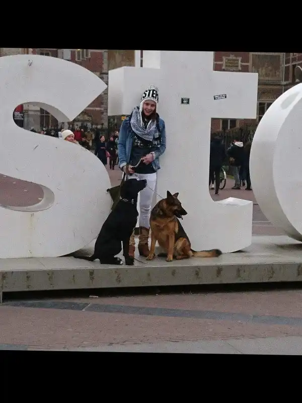 image-42