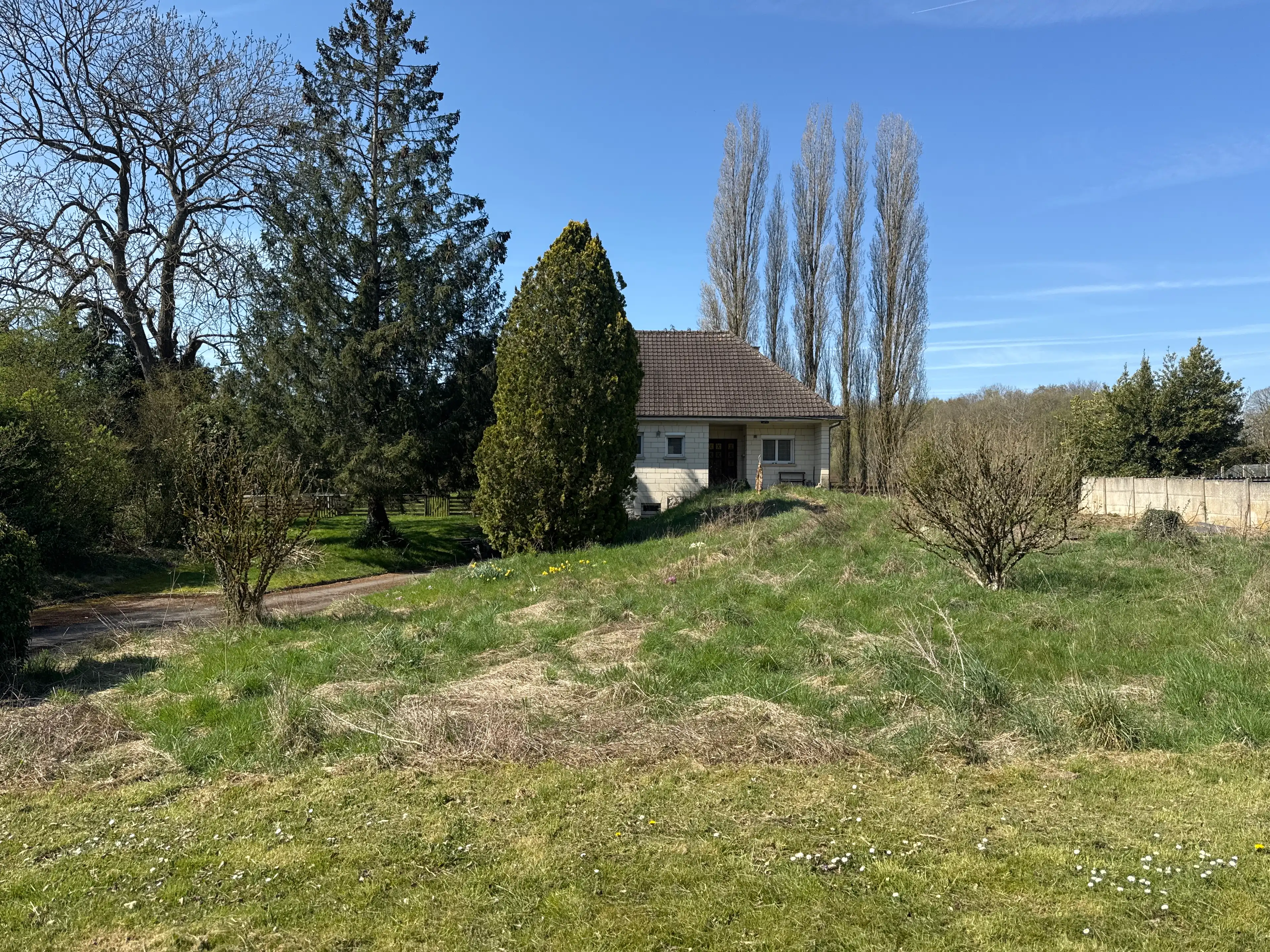 image-36