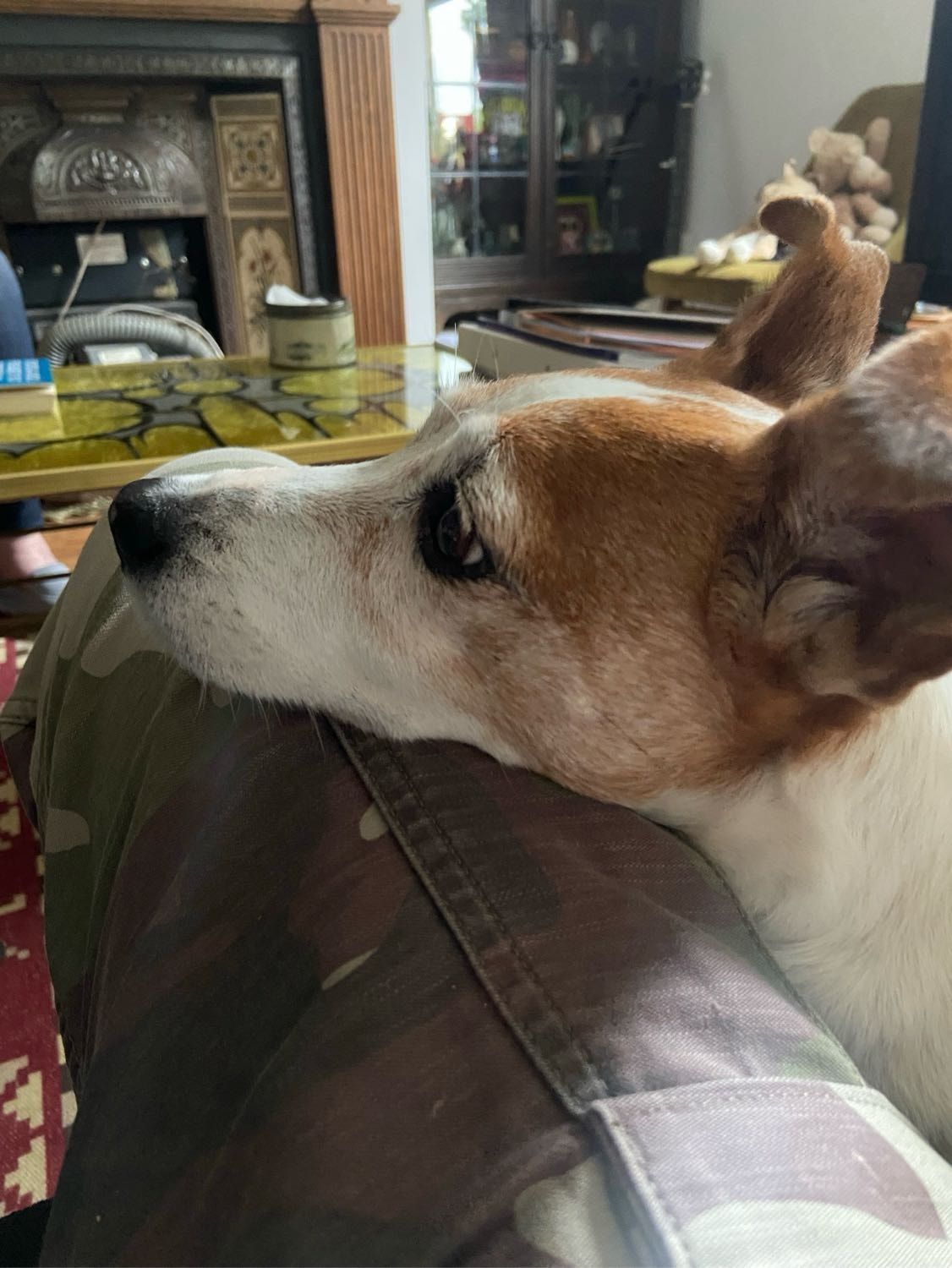 image-12
