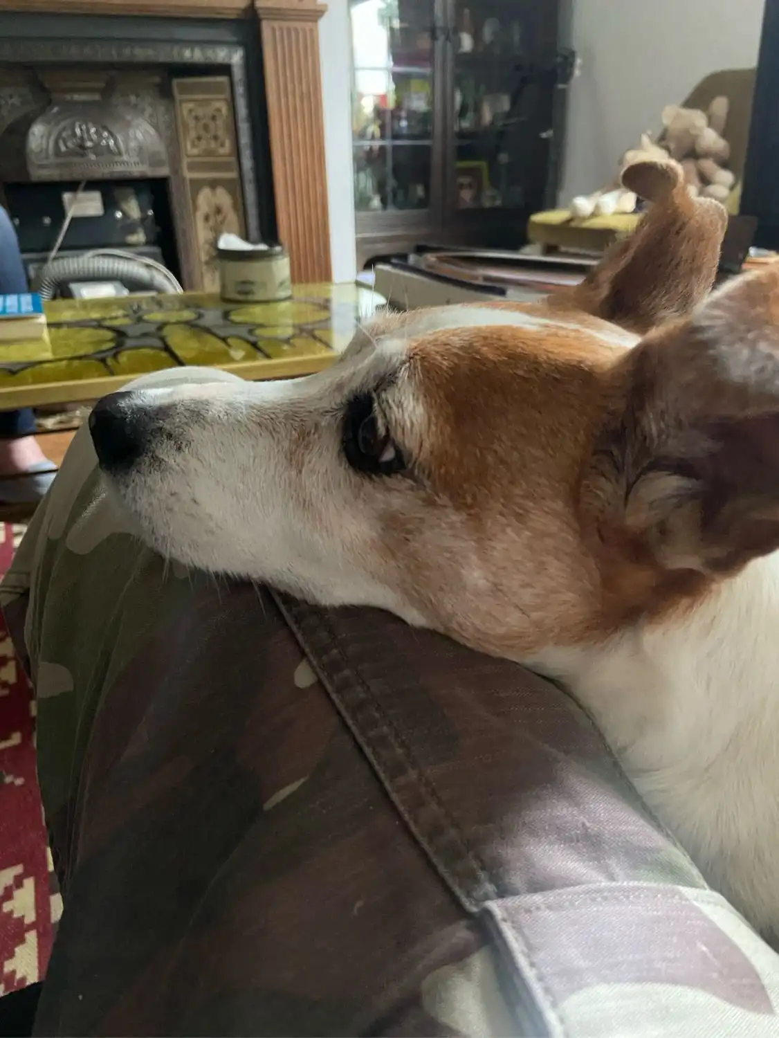 image-12