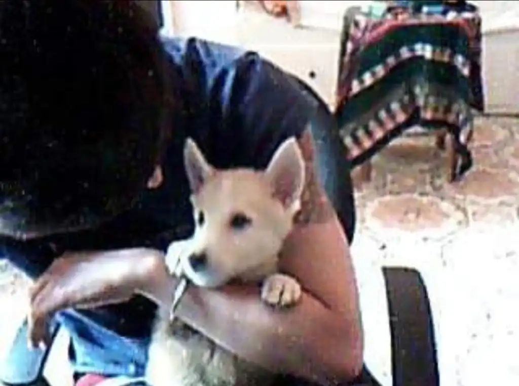 image-5
