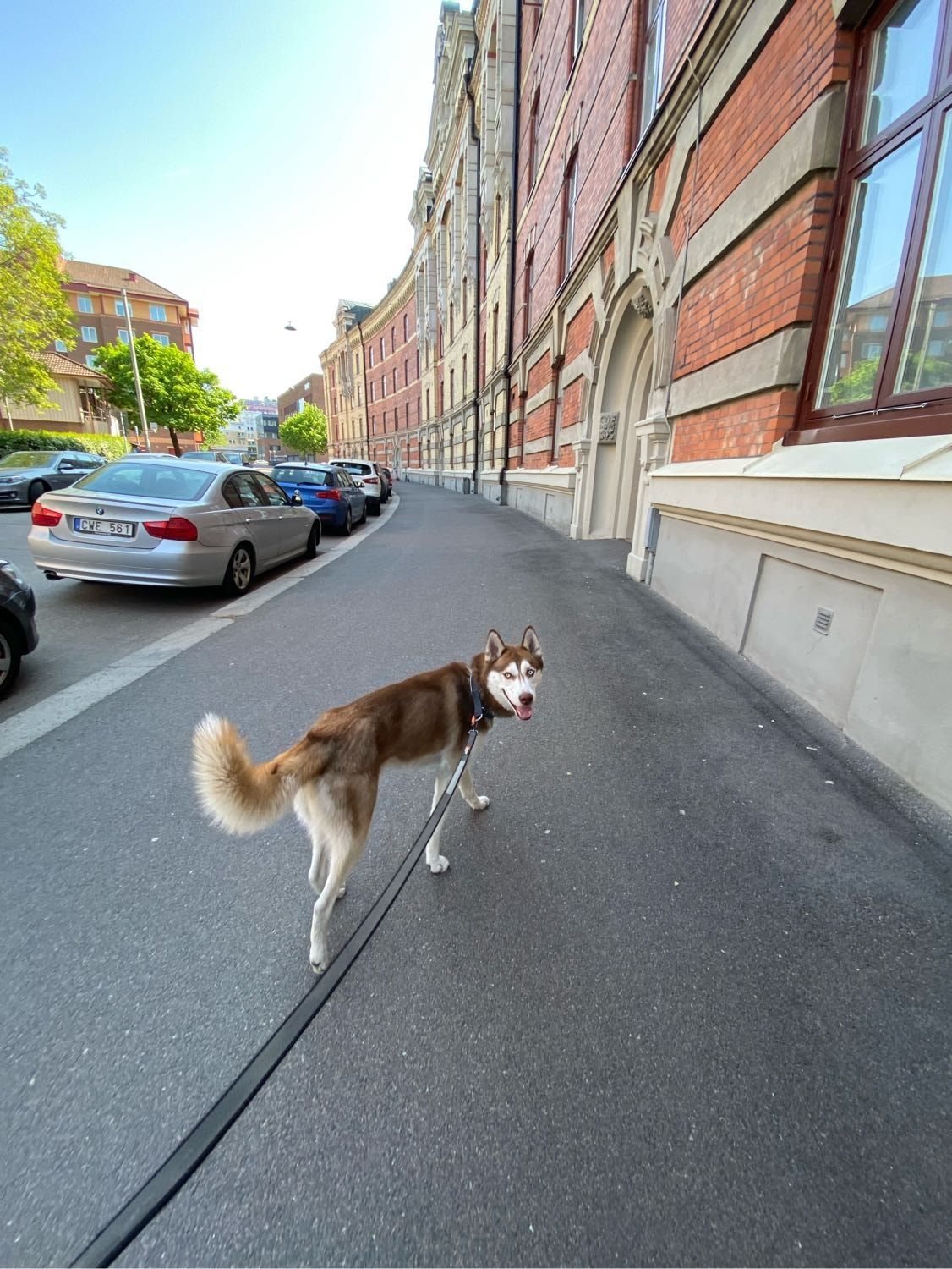 image-8