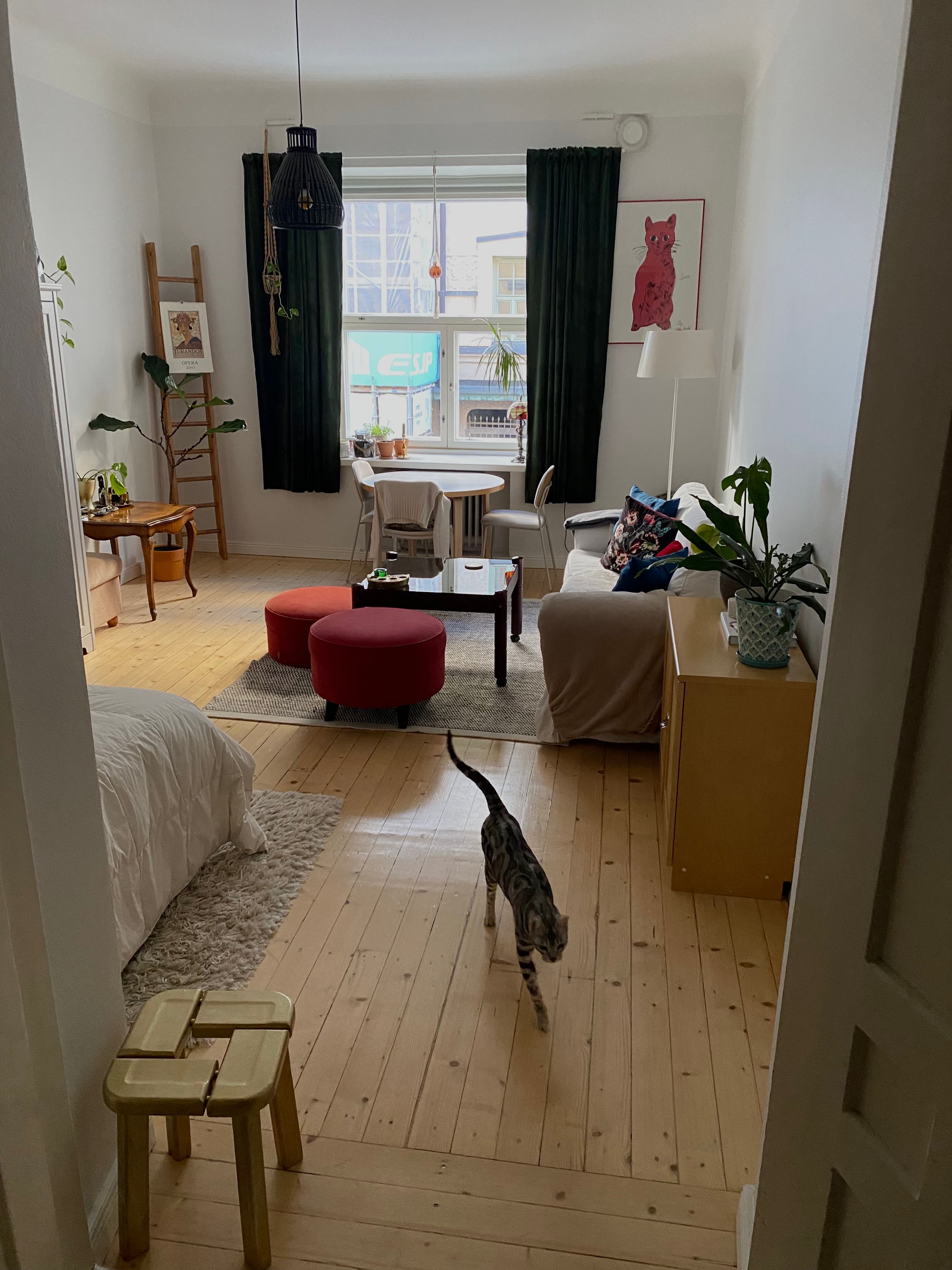 image-17