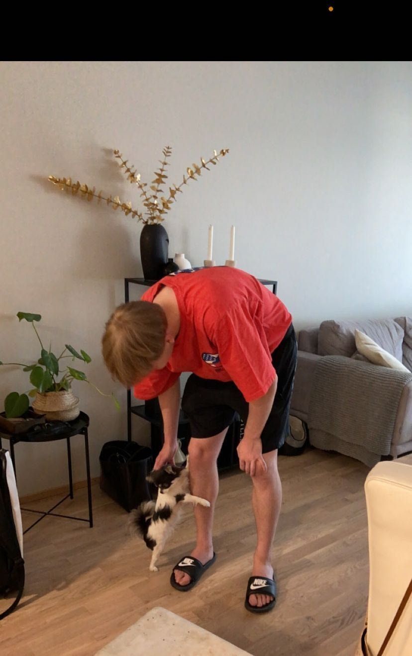 image-2