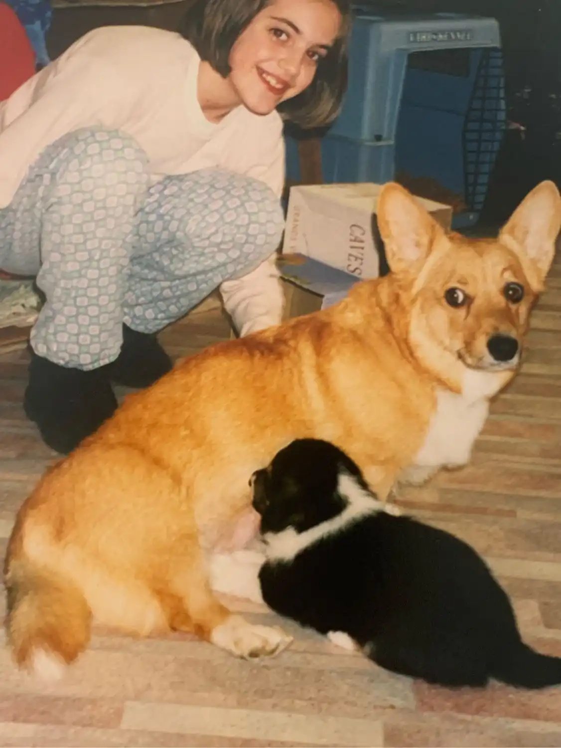 image-7
