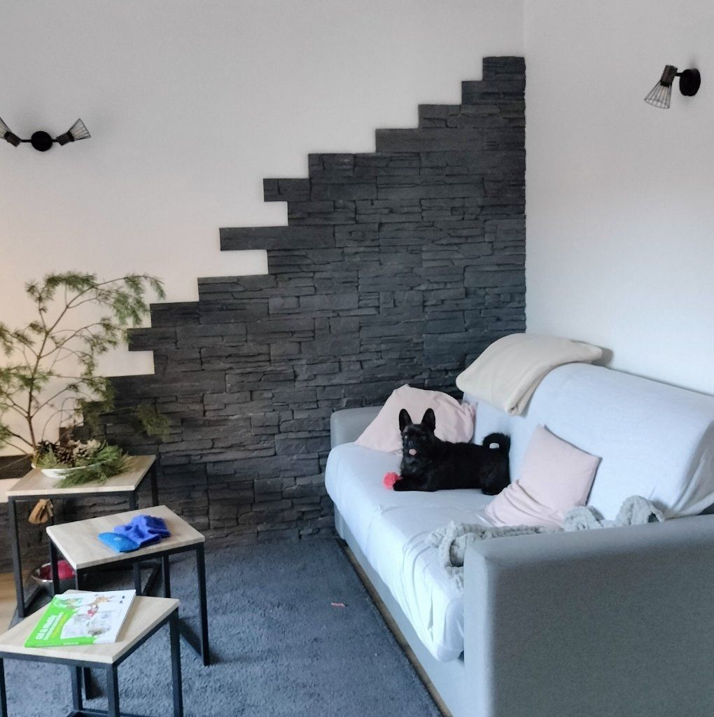image-19