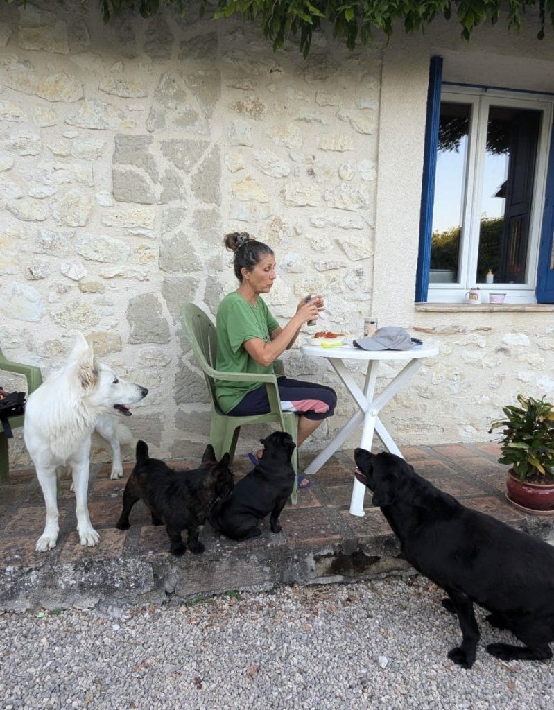 image-27