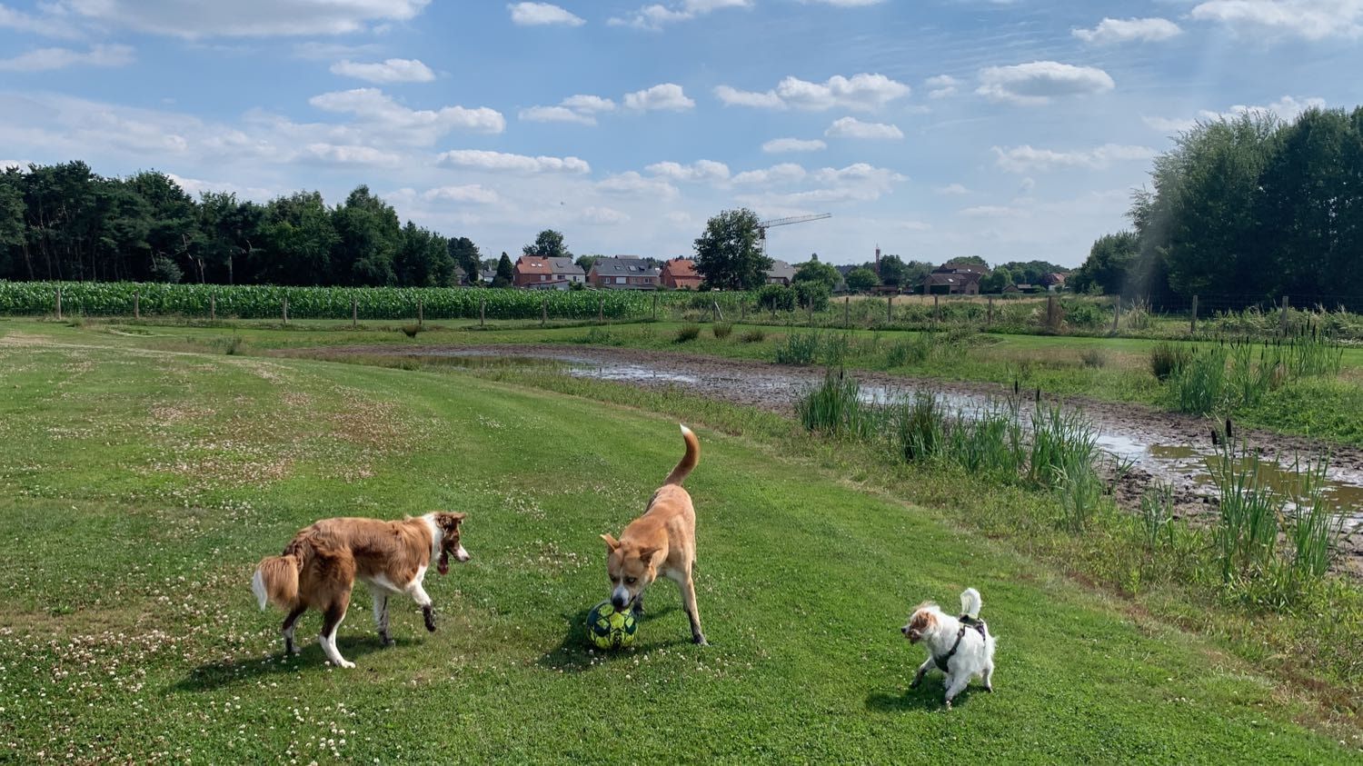 image-18