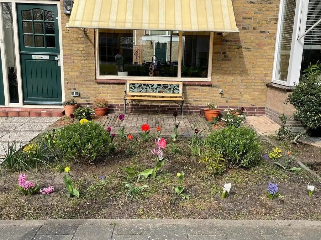 image-10