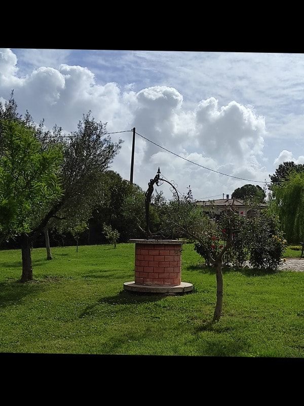 image-0