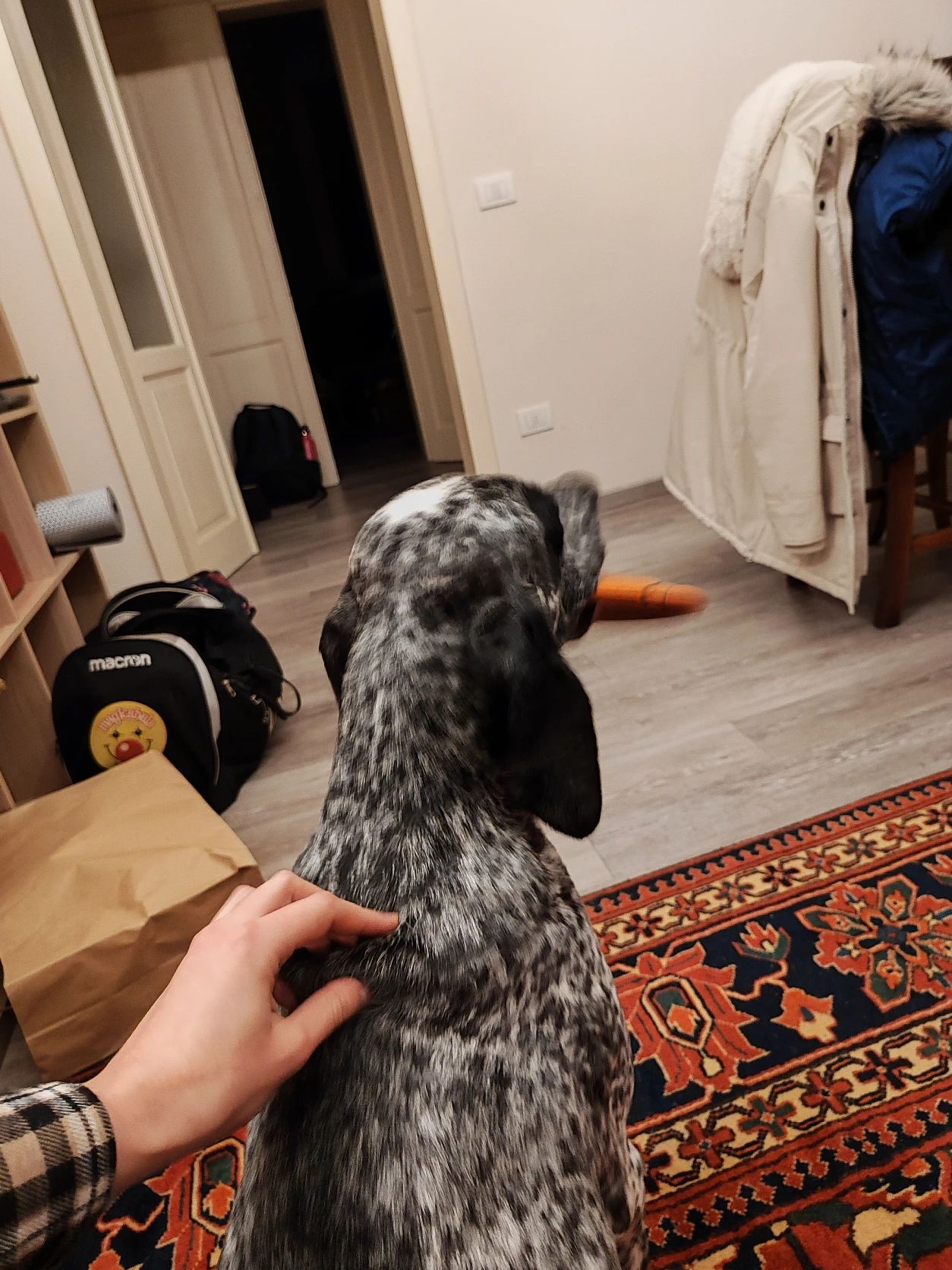 image-8
