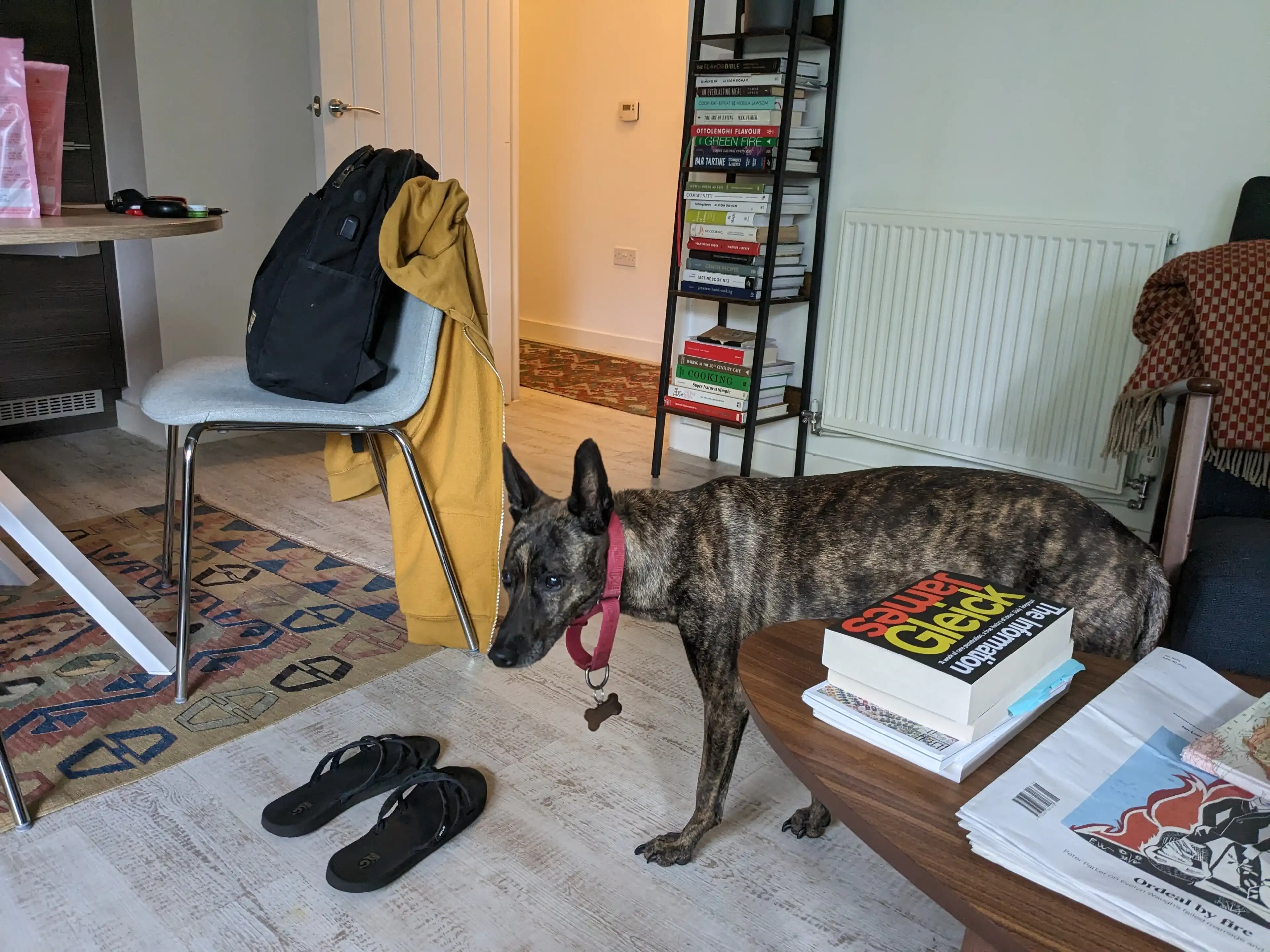 image-14