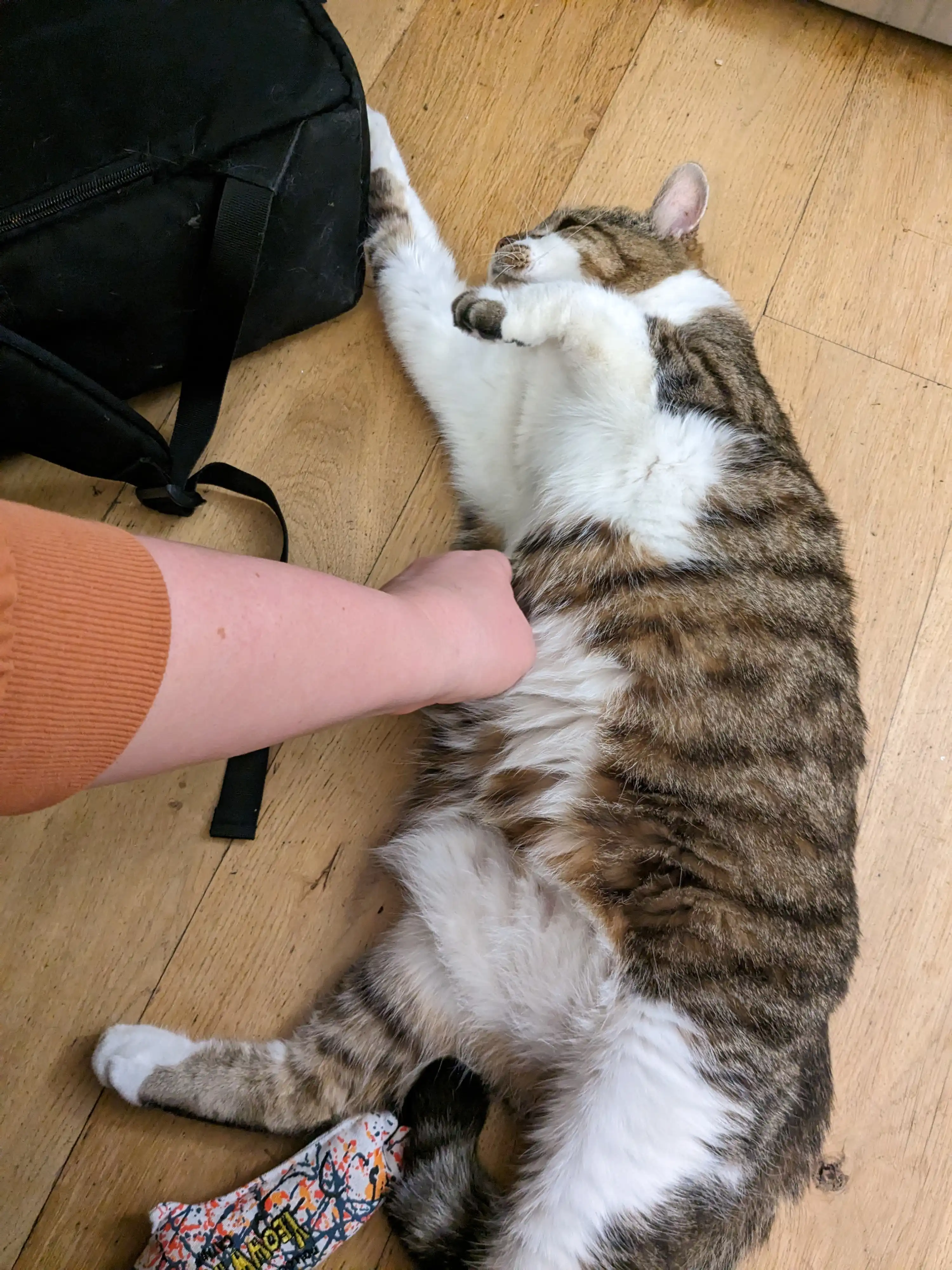 image-11