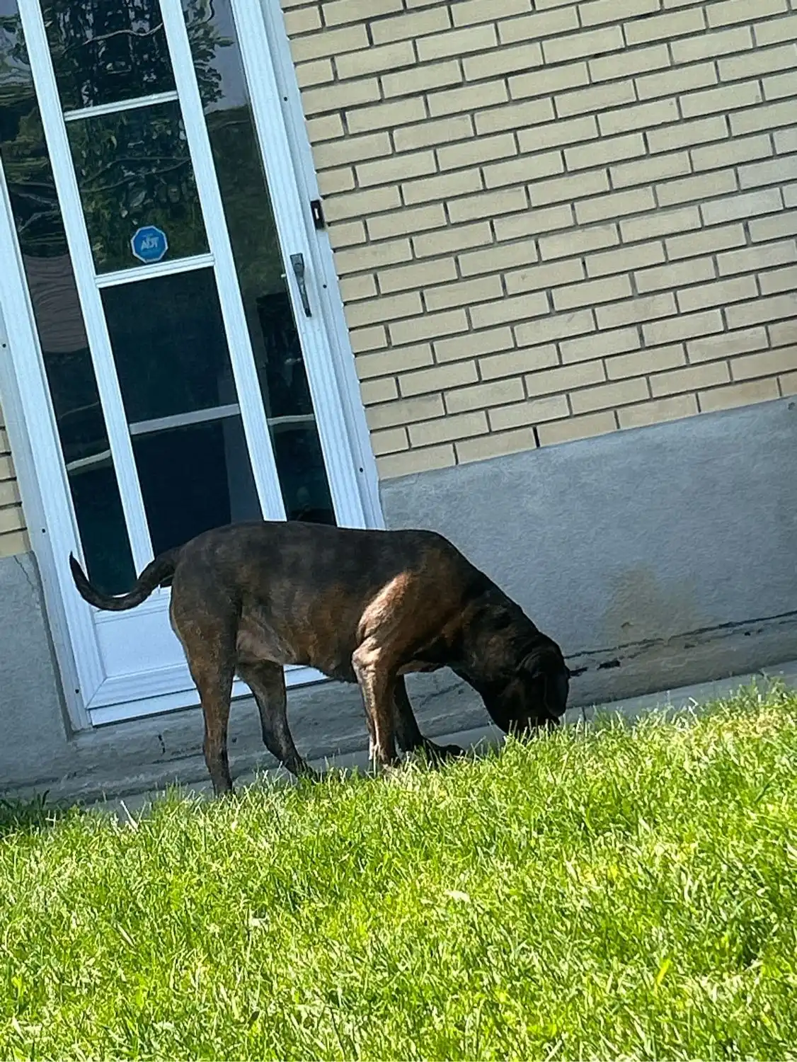 image-28