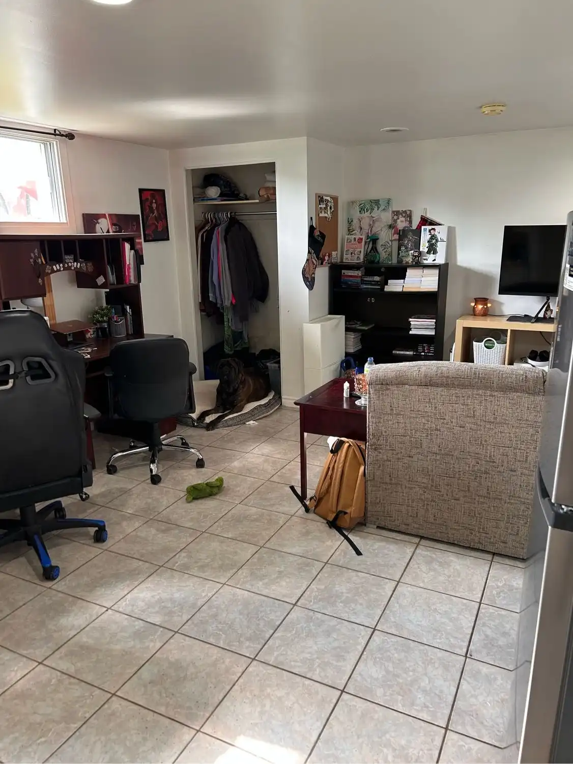 image-20