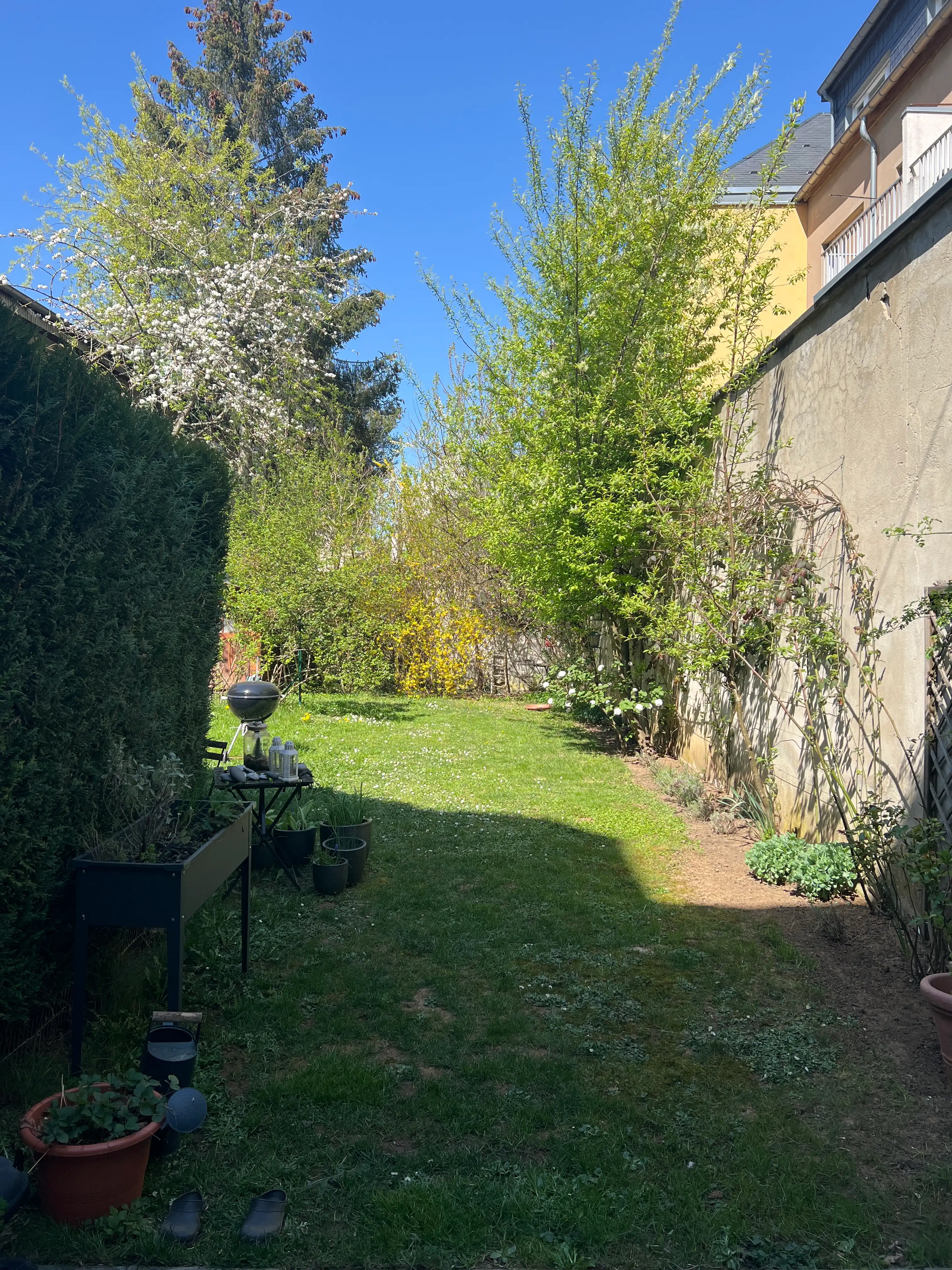 image-20
