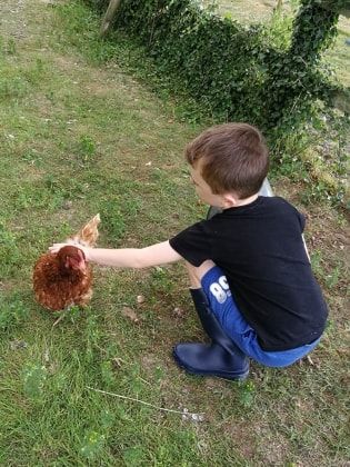 image-11