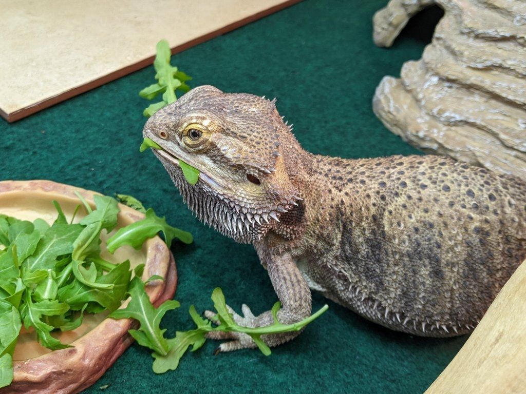 image-34