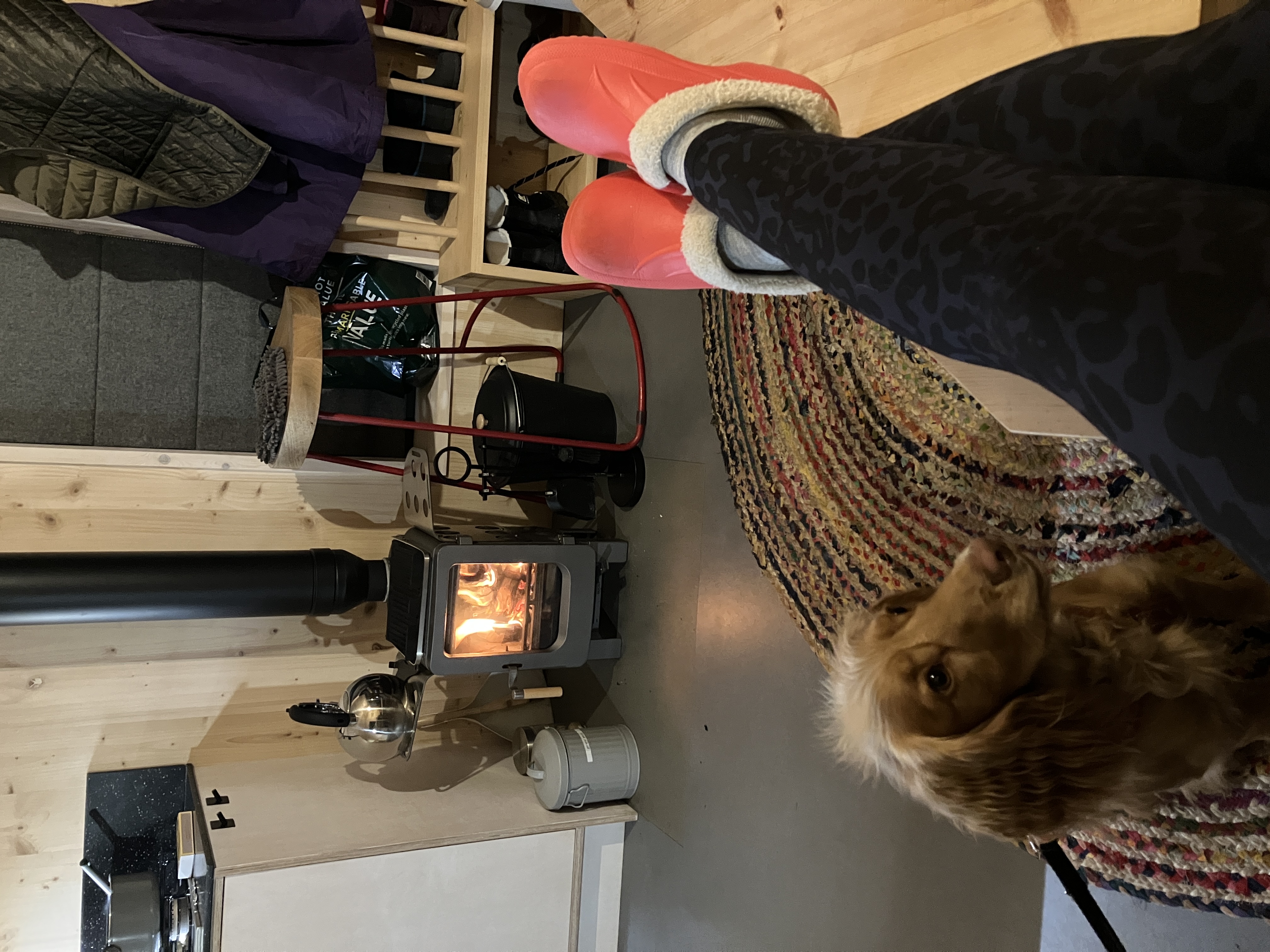 image-7