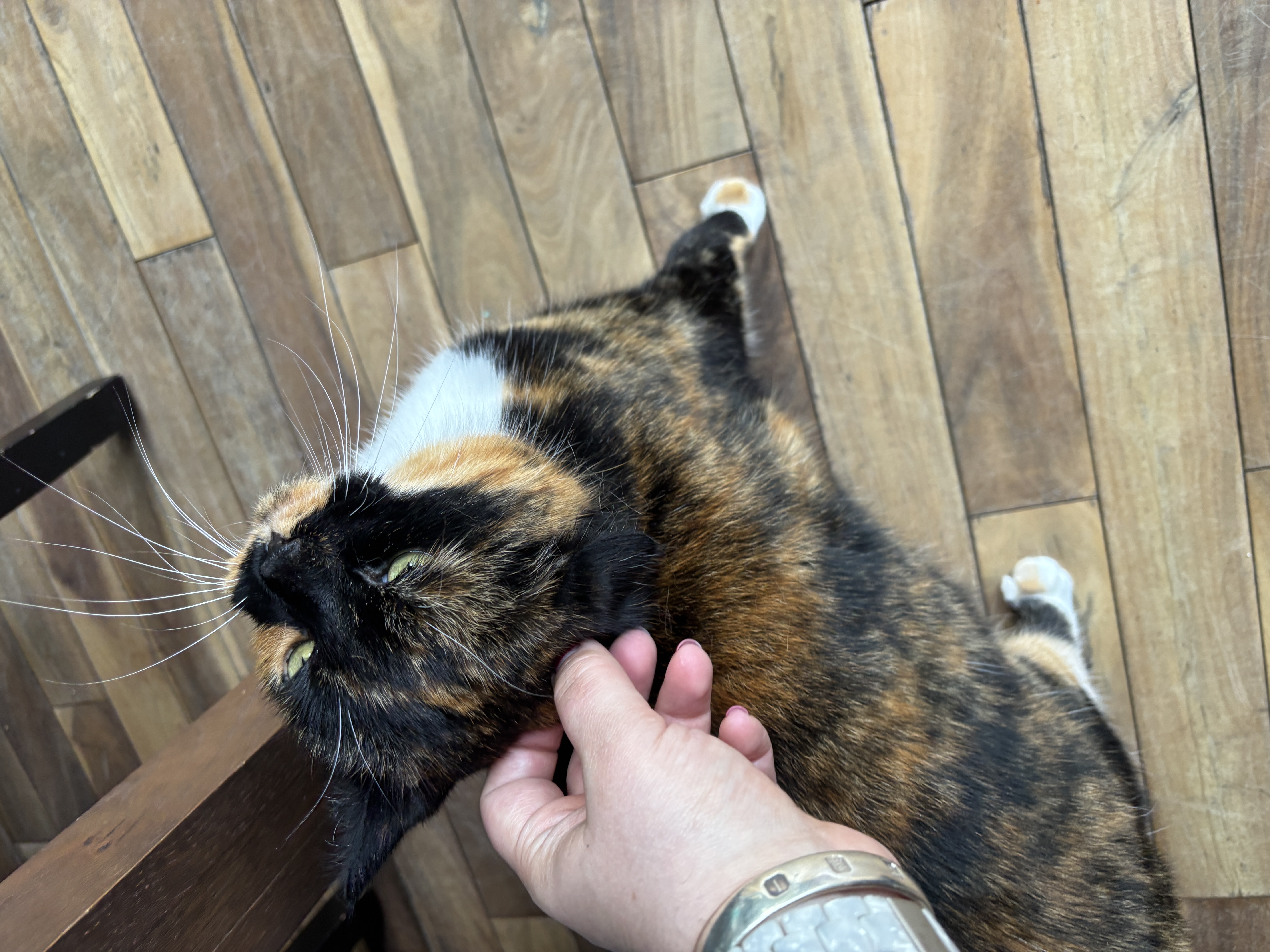 image-11