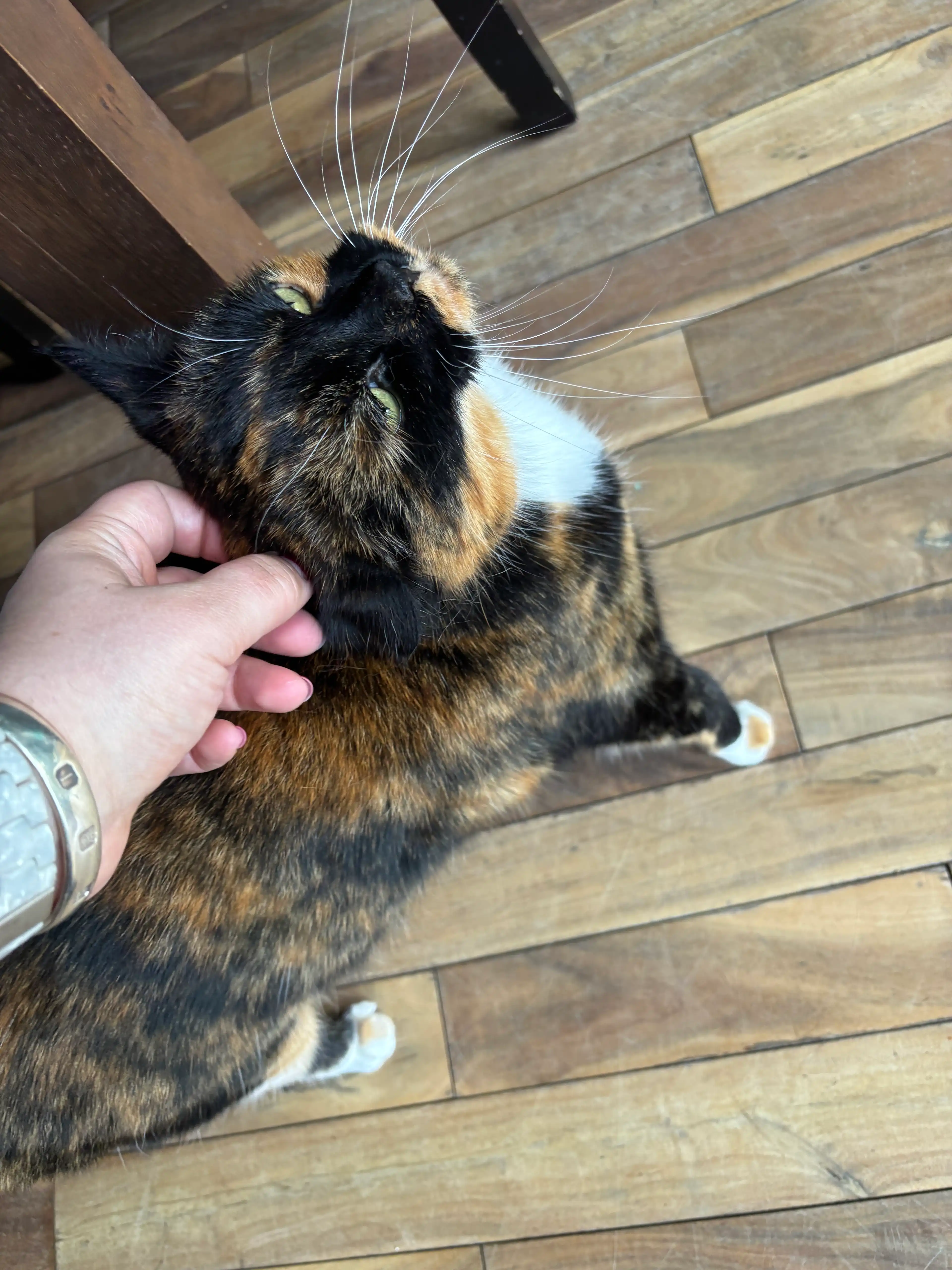 image-11